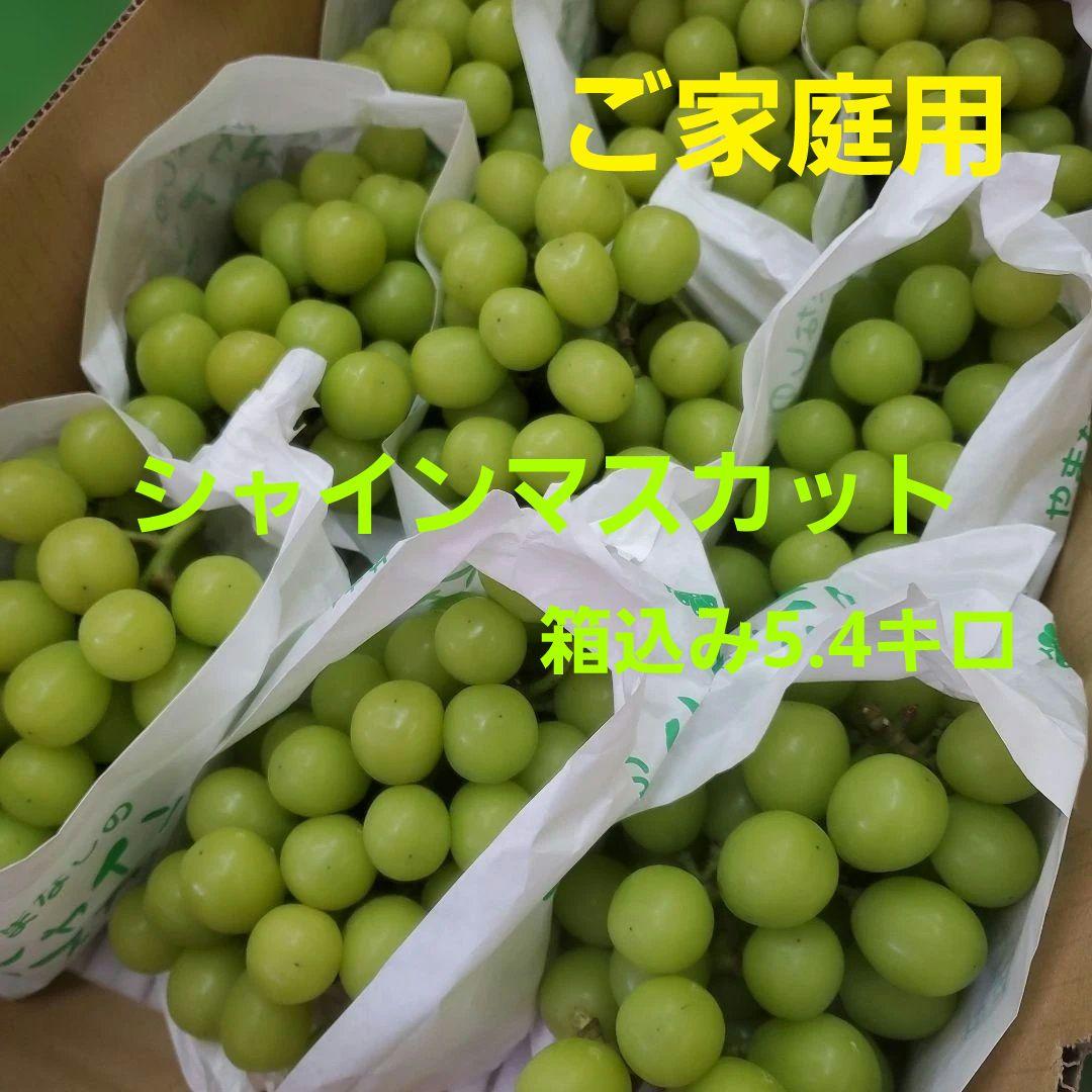 3️⃣ 山梨県産 シャインマスカット ９房入り 箱込み5.4キロ