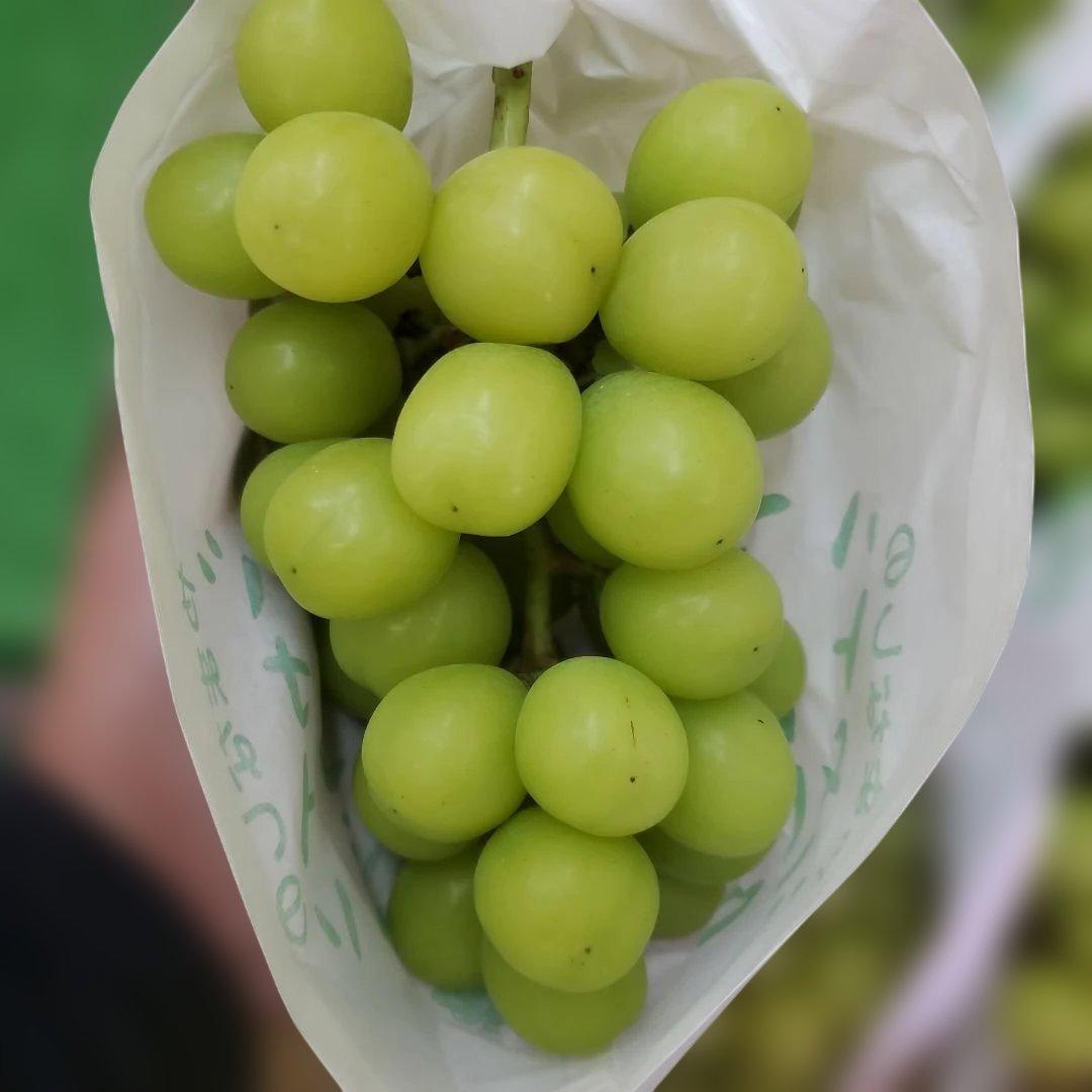 3️⃣ 山梨県産 シャインマスカット ９房入り 箱込み5.4キロ