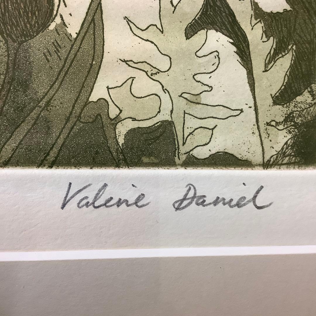 Valerie Daniel ポピー 花の版画 72/80金色フレーム付き