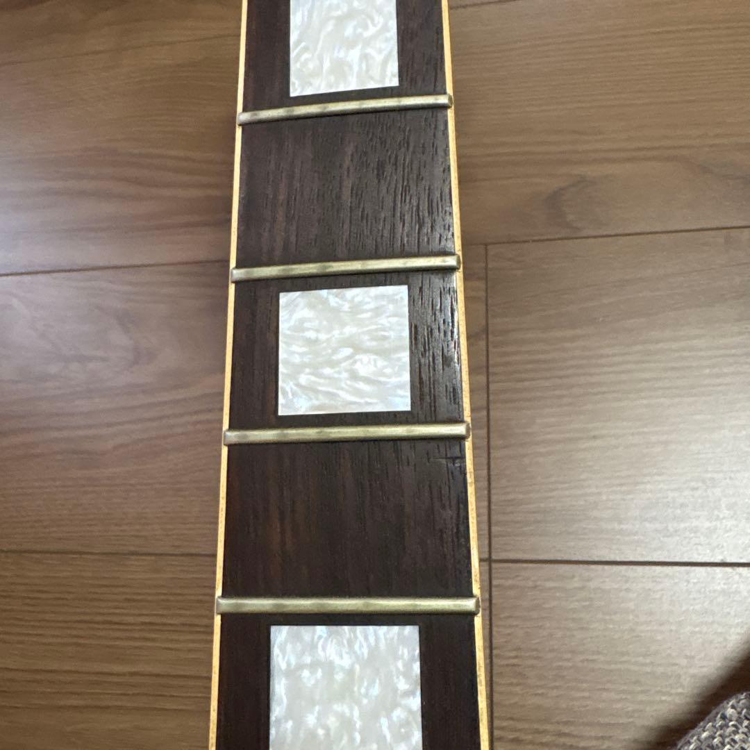 オーヴィルバイギブレスポールカスタムジャンク