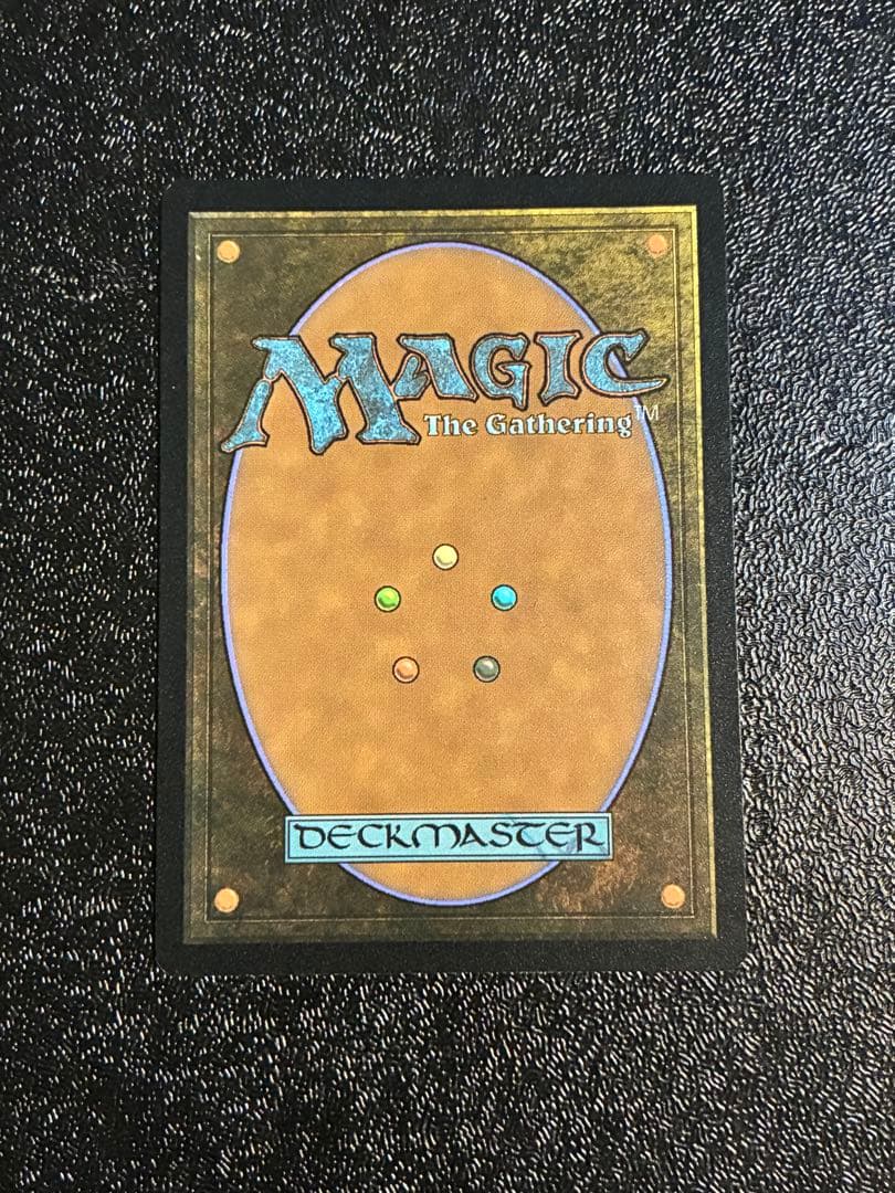 MTG 指輪物語　英語版　ホリデーリリース　ファンゴルンの森　サージfoil