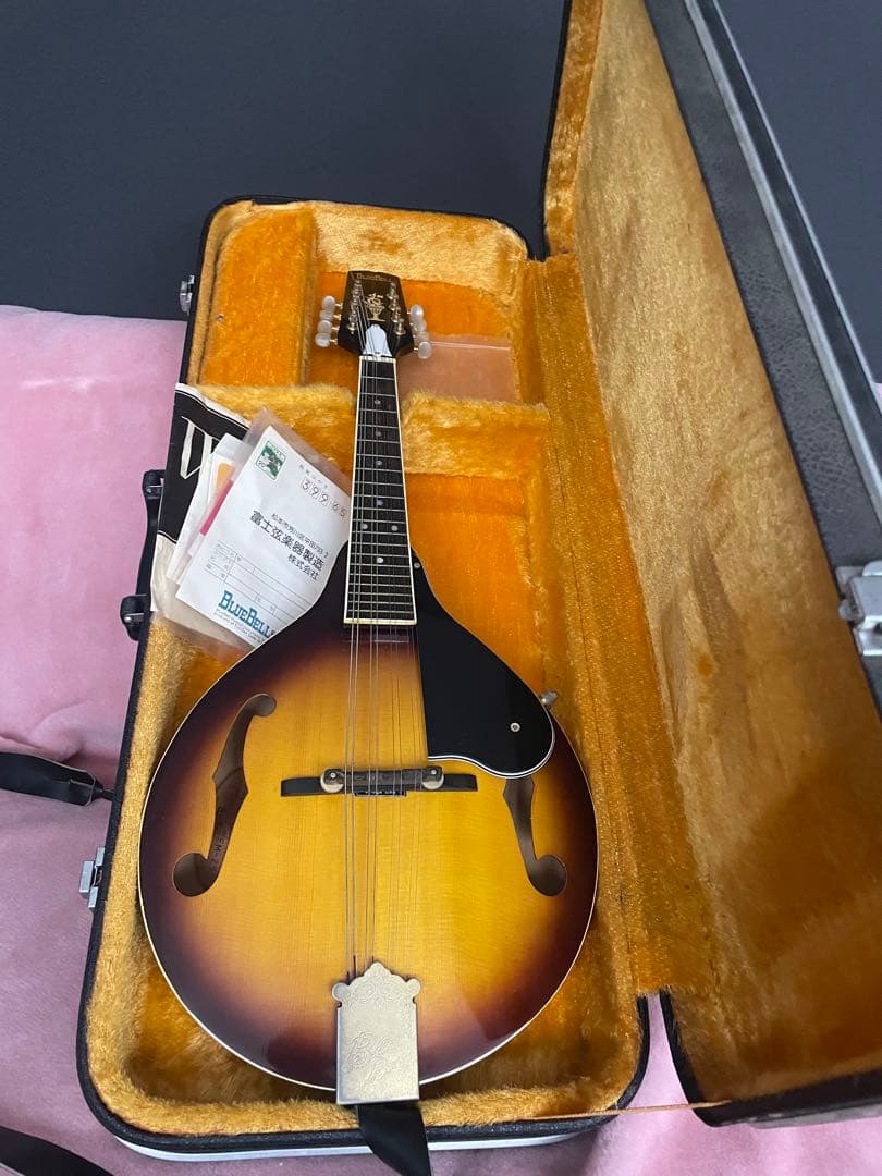 あおちゃん【希少】BlueBell フラットマンドリン 高級 FM-25