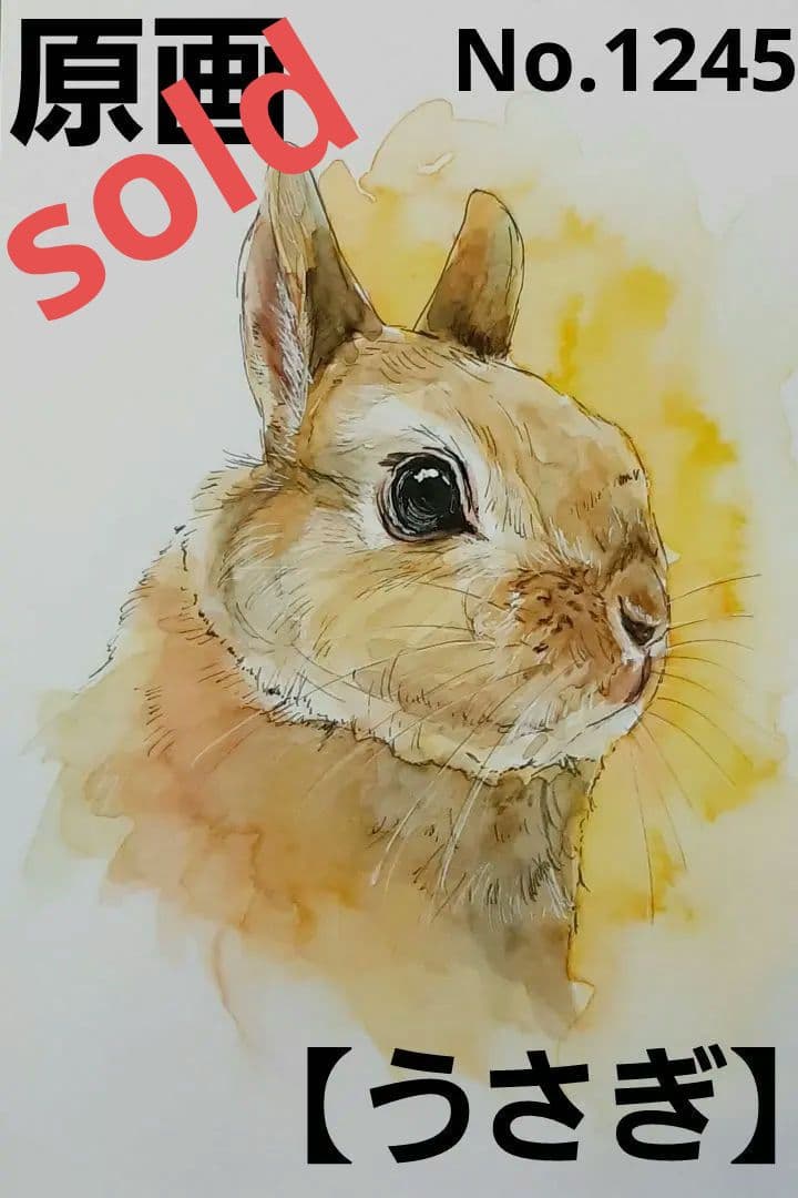 【うさぎ】手描きイラスト 原画 《1245》