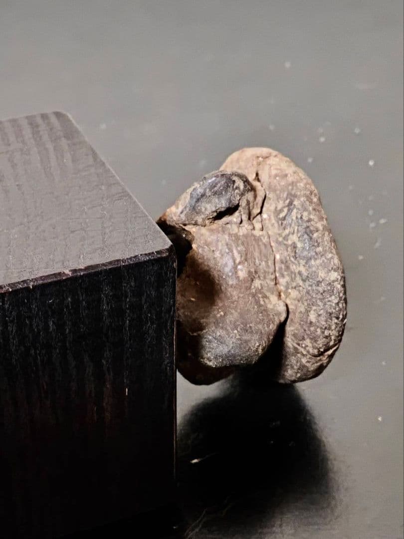 縄文土偶頭部　縄文時代　考古発掘品　古代美術　稀少　残欠の美