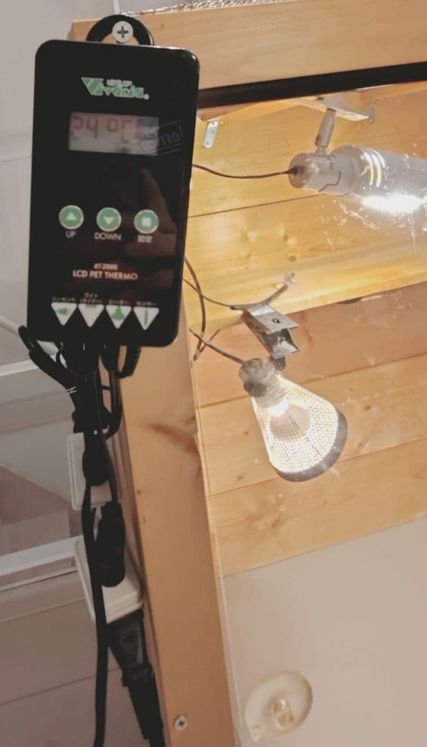 中型爬虫類飼育フルセット