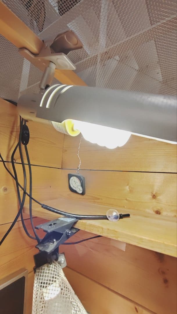 中型爬虫類飼育フルセット