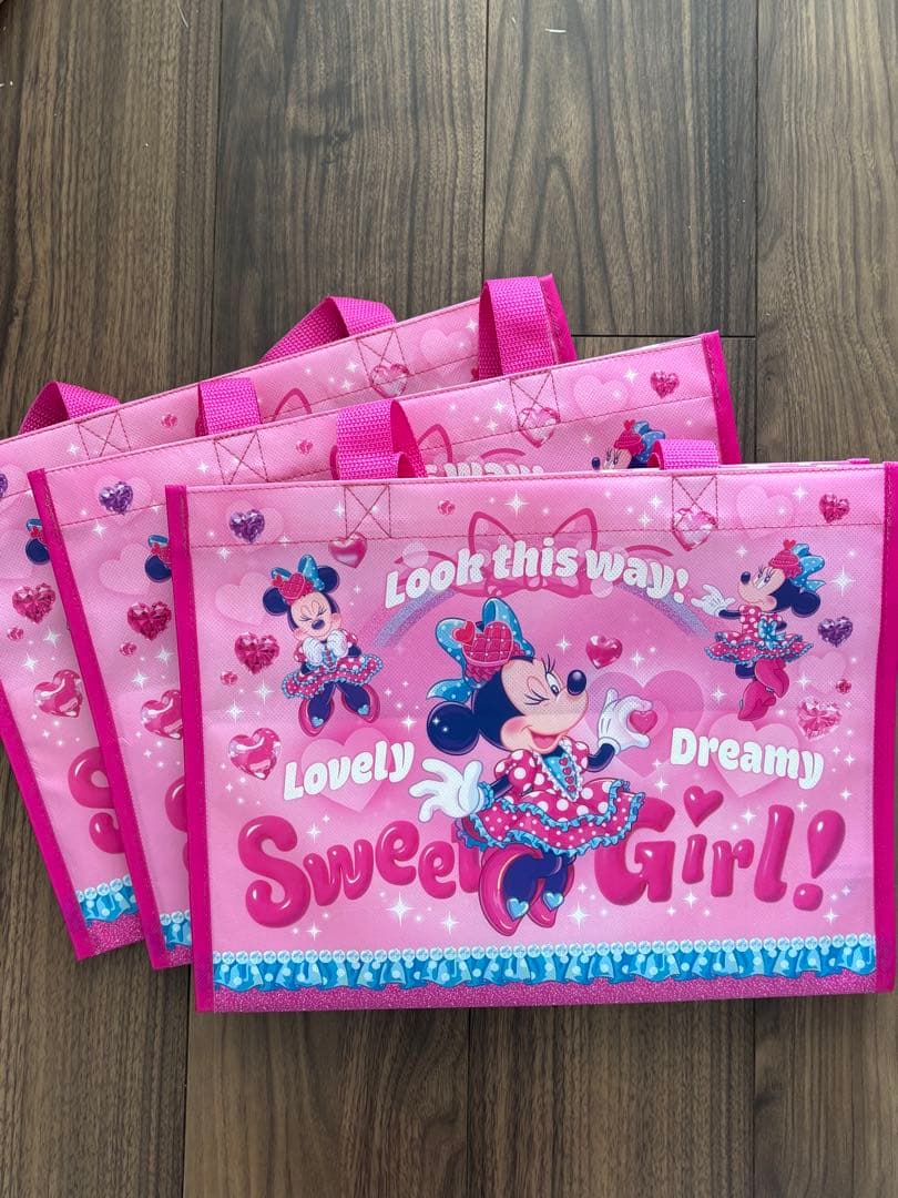 BANI　ディズニー　パルパルーザ　ミニーファンダーランド　セット