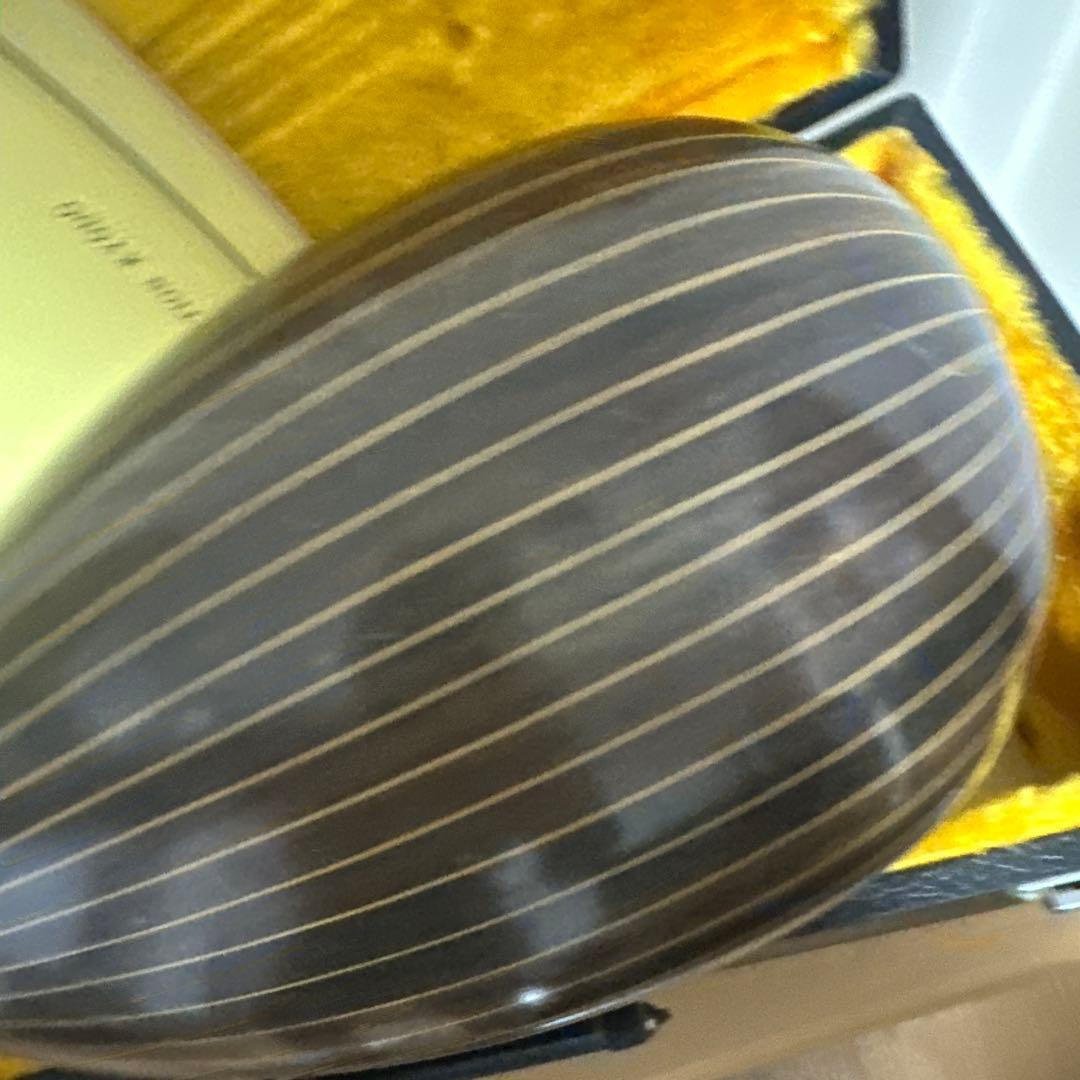 【ハードケース付き】スズキ SUZUKI マンドリM-215