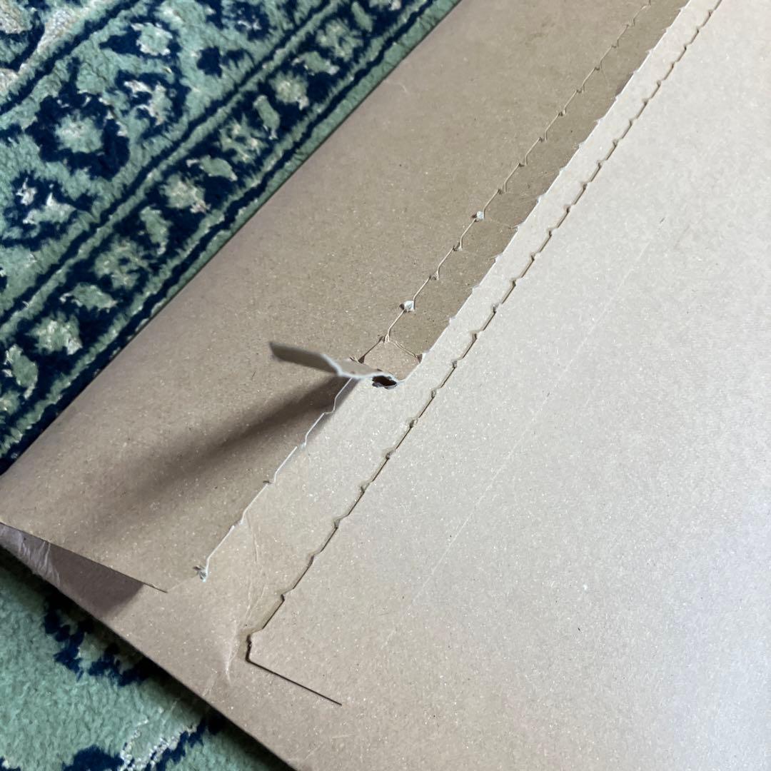 希少　紋黄蝶　ミナペルホネン　カタログ　小松菜奈　2011年　入手困難　絶版