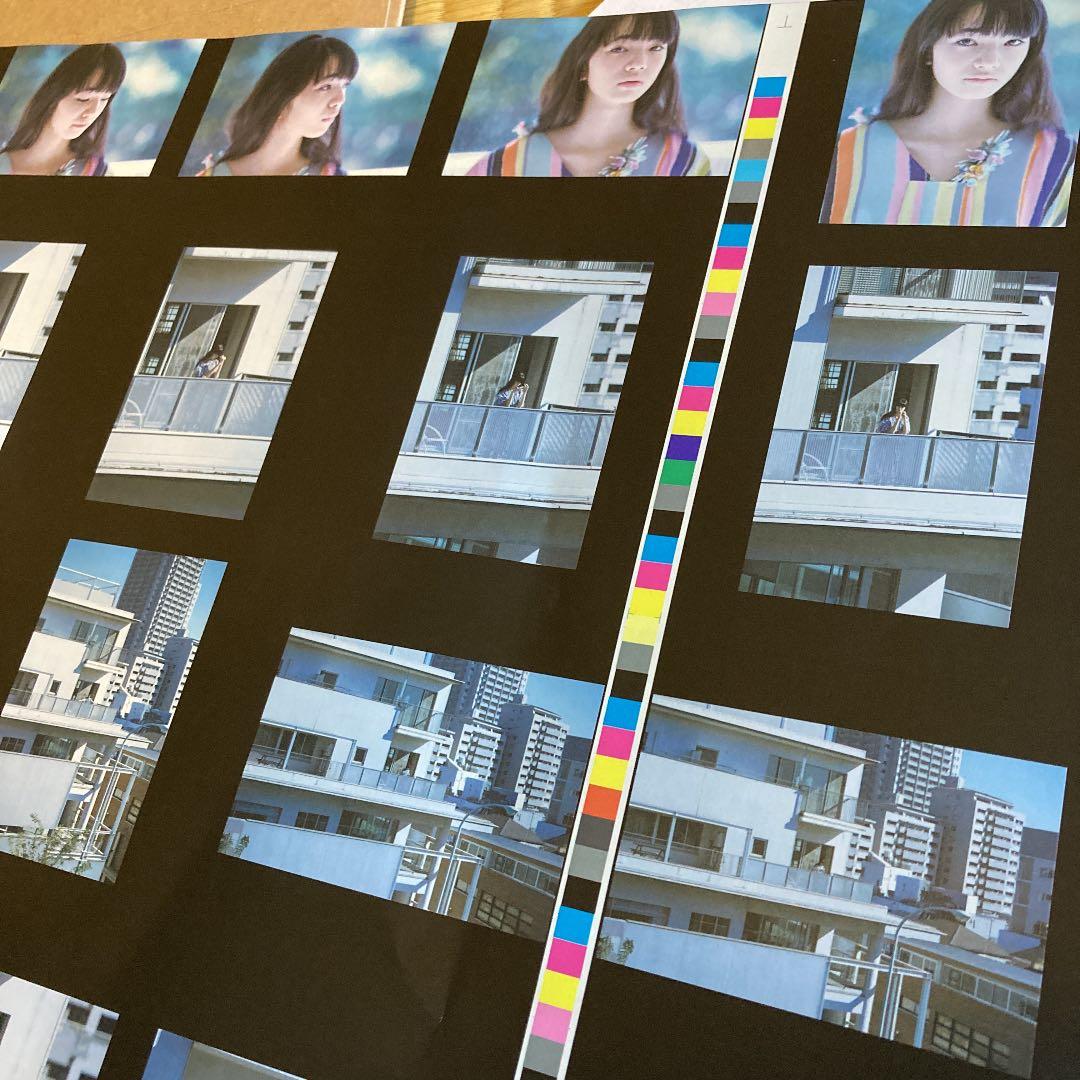 希少　紋黄蝶　ミナペルホネン　カタログ　小松菜奈　2011年　入手困難　絶版