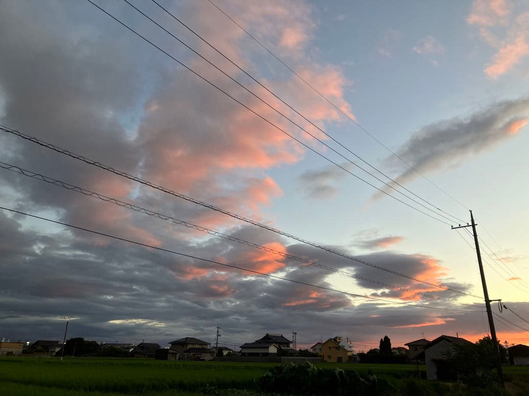 令和6年度米 10kg 自然栽培米　農薬　科学肥料不使用　倉敷