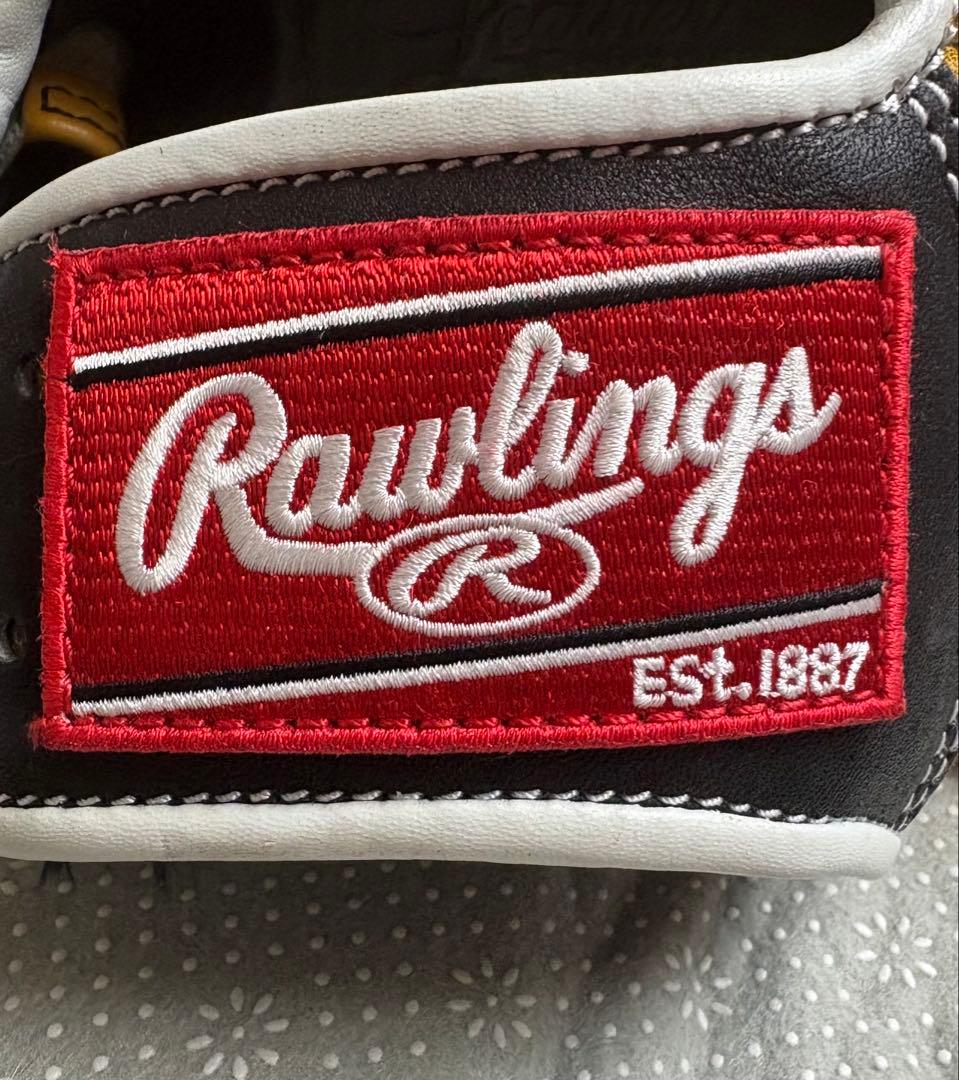 Rawlings 軟式グローブ THE GOLD GLOVE
