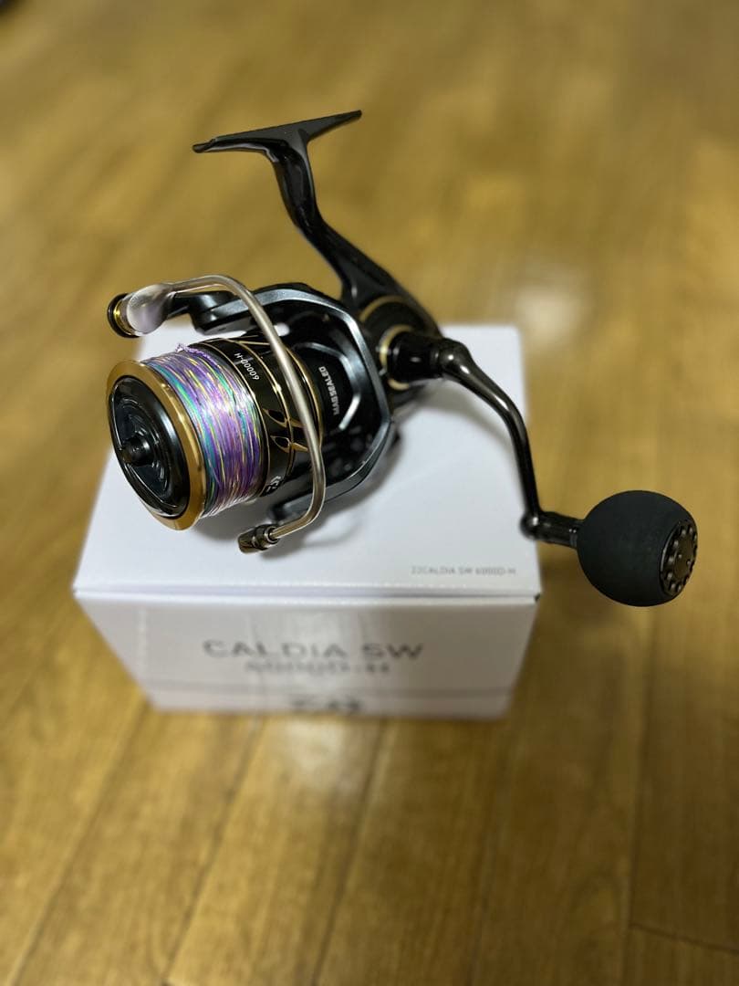 CALDIA SW 6000D-H （PE3号付き）