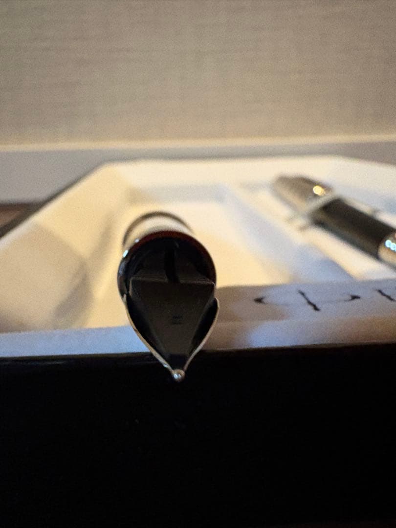 【犬】PARKER パーカー 万年筆＆ボールペン プルミエカスタム セット