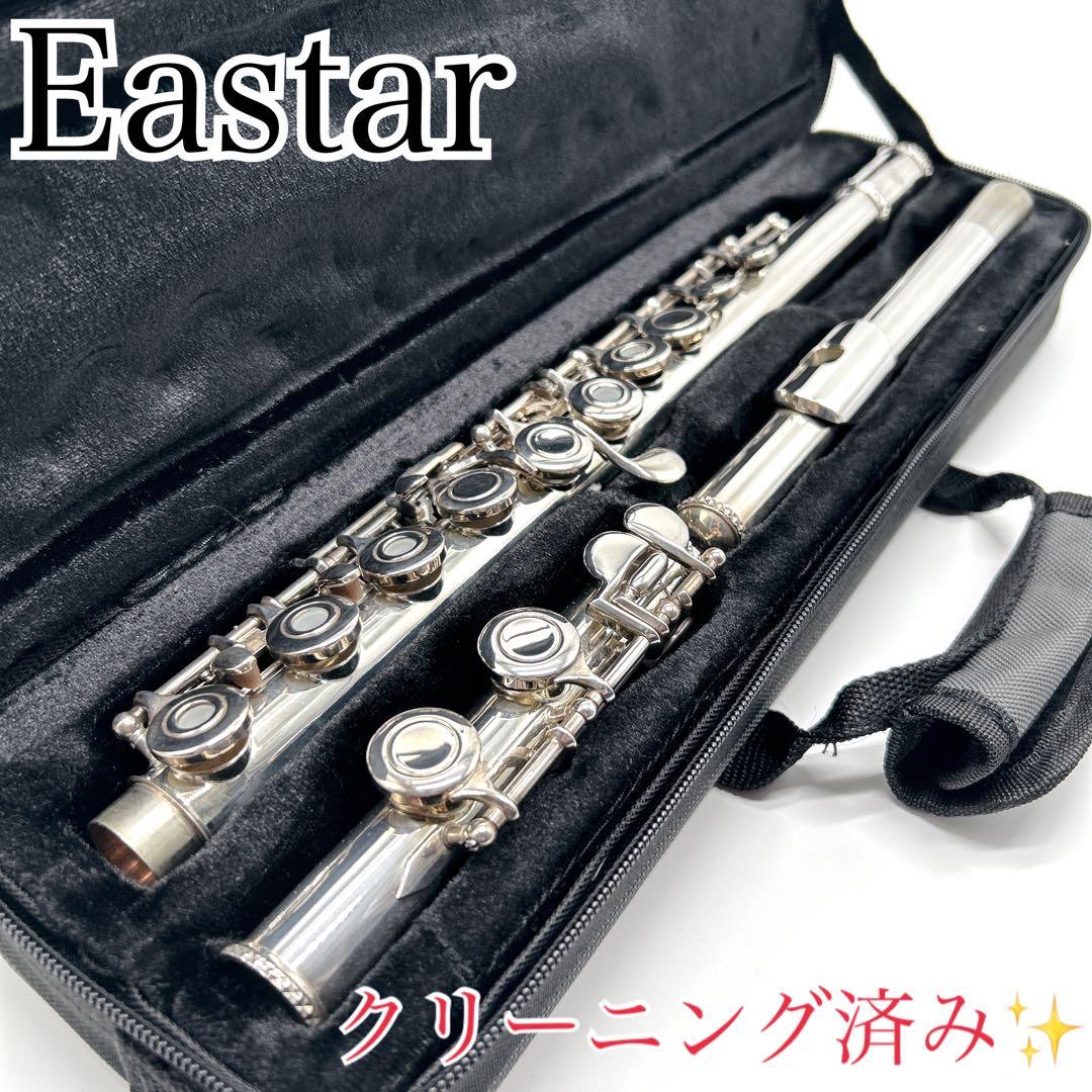 クリーニング済み✨ Eastar フルートハードケース付き Eメカ 管楽器 銀