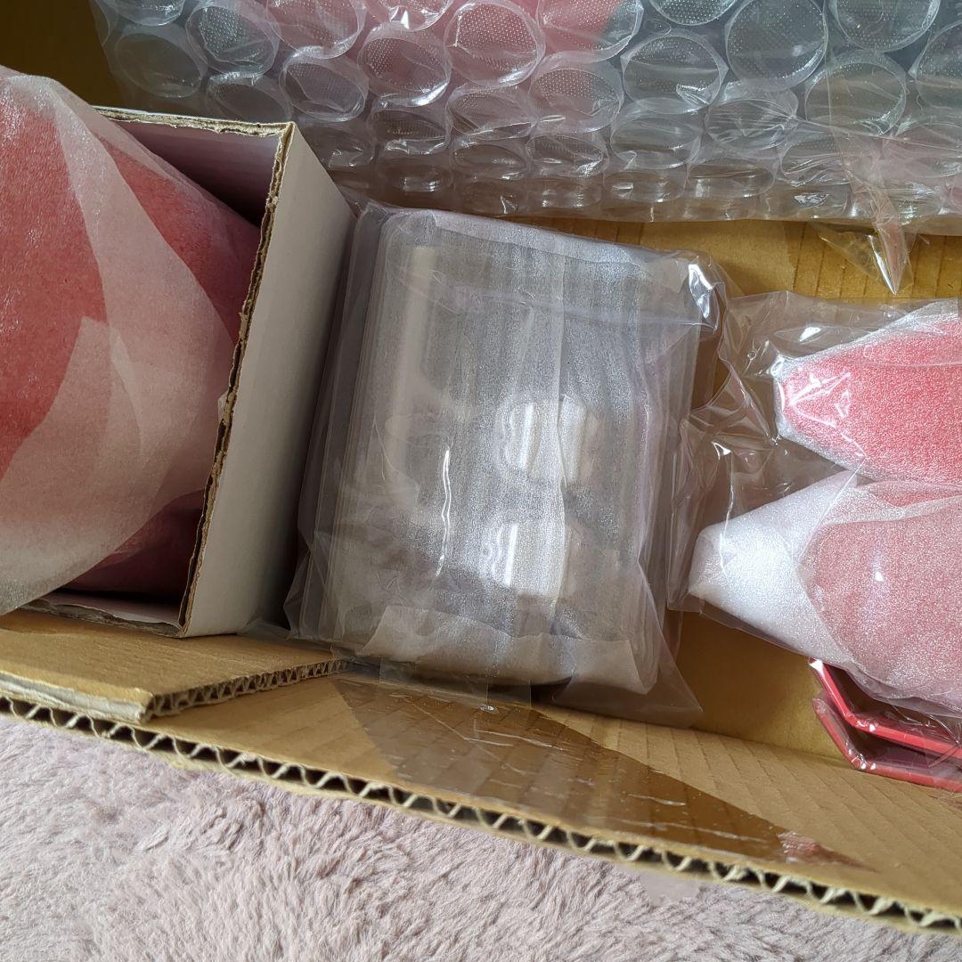 Spacewalker II 1/5.5 ARF ラジコン飛行機