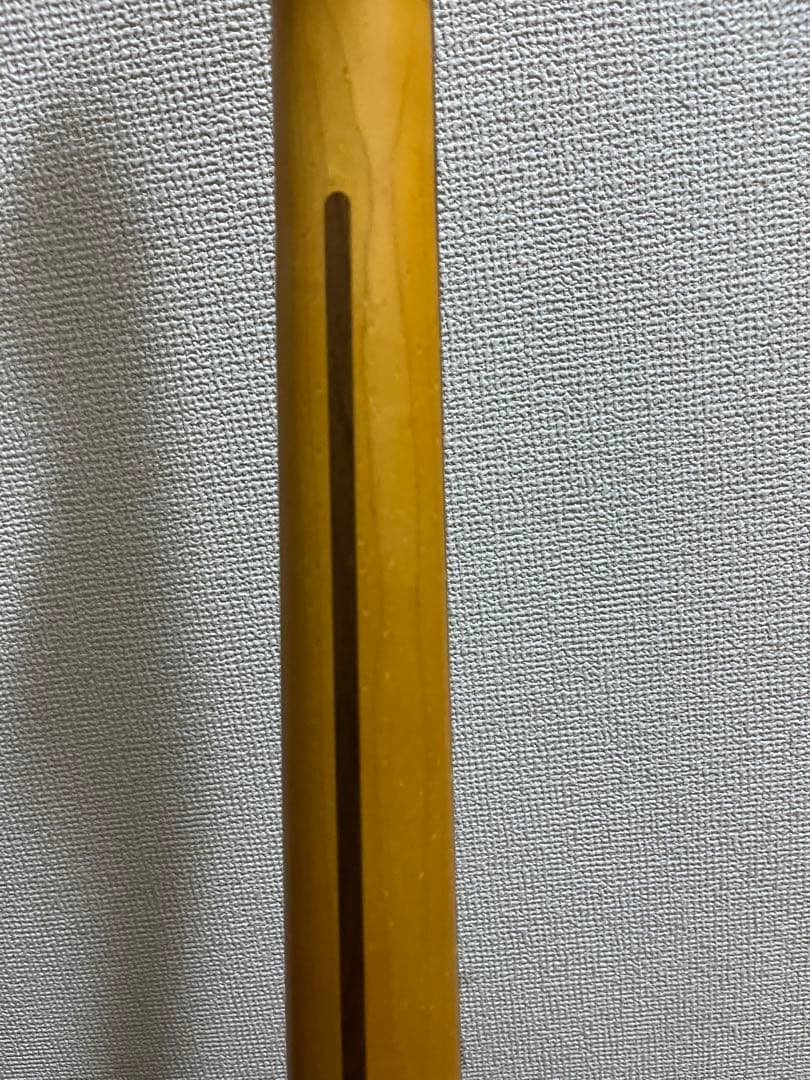 Y*i様 Fender American Professional ⅡTelec