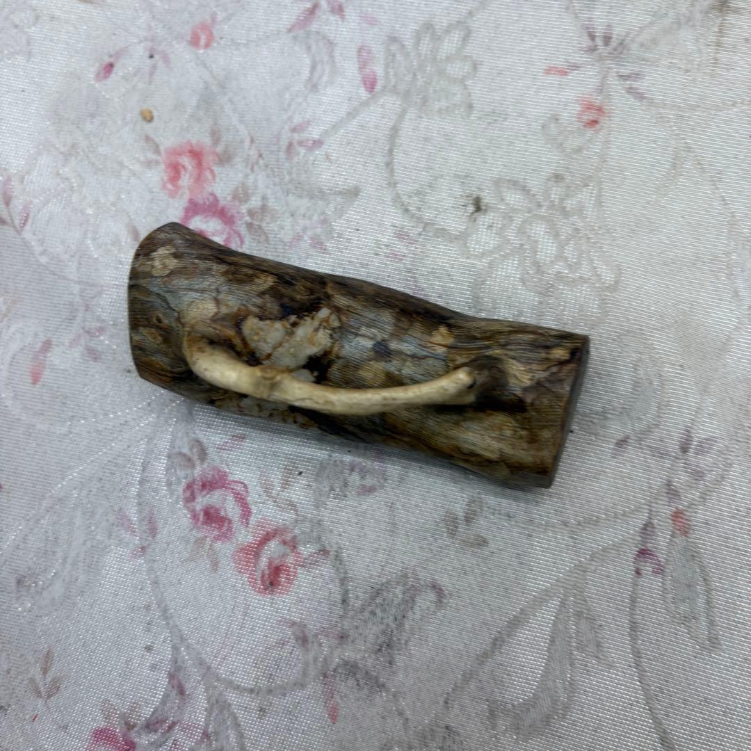 海松　深海松　レインボーコーラル　置物　素材　原木