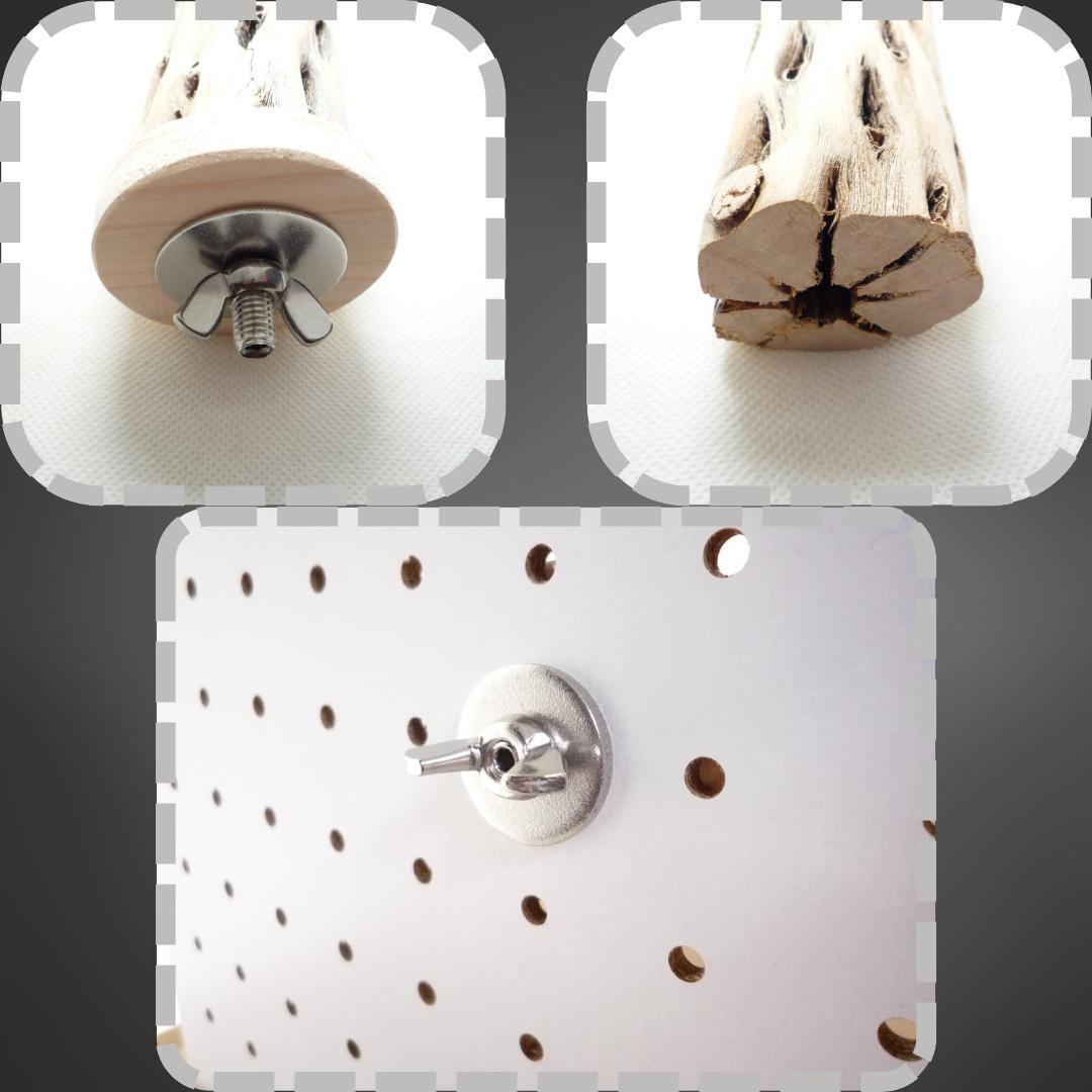 鳥用品　止まり木　カクタス　スケルトン　パーチ　太めNo.239