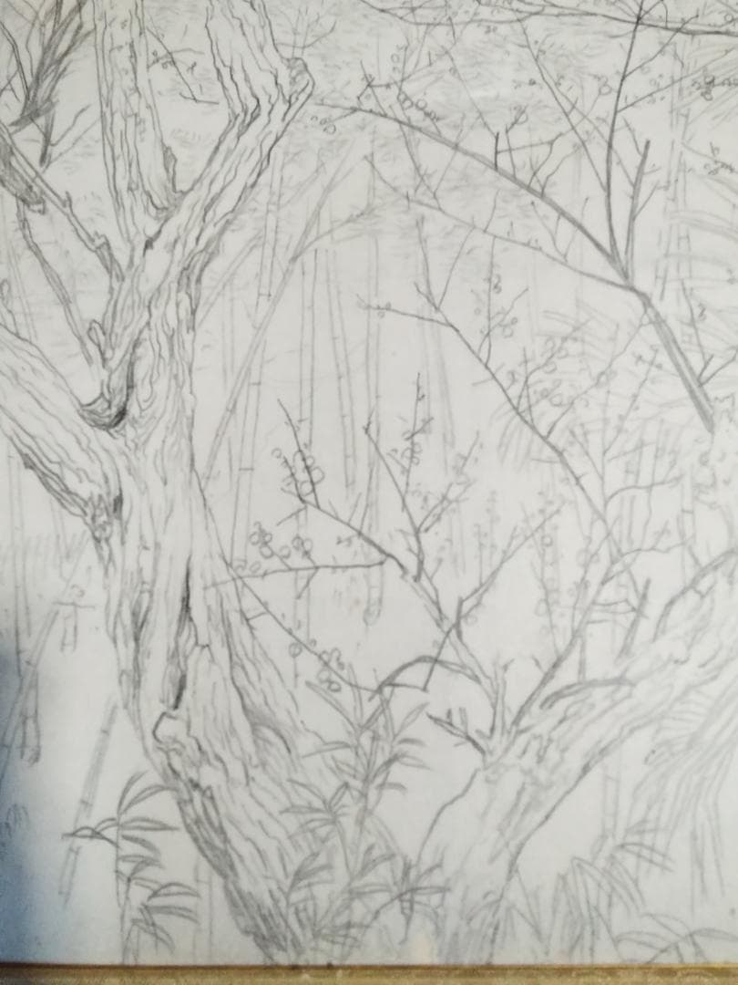 川合玉堂　裏山写生