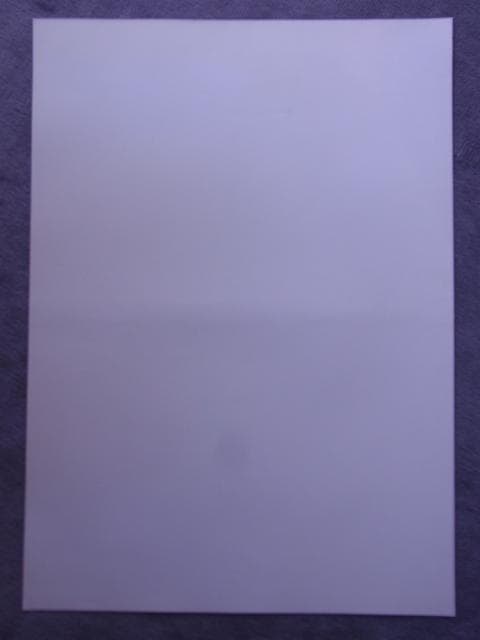 未使用品　非売品　ポスター　プロジェクトアームズ　皆川亮二　2001年　稀少