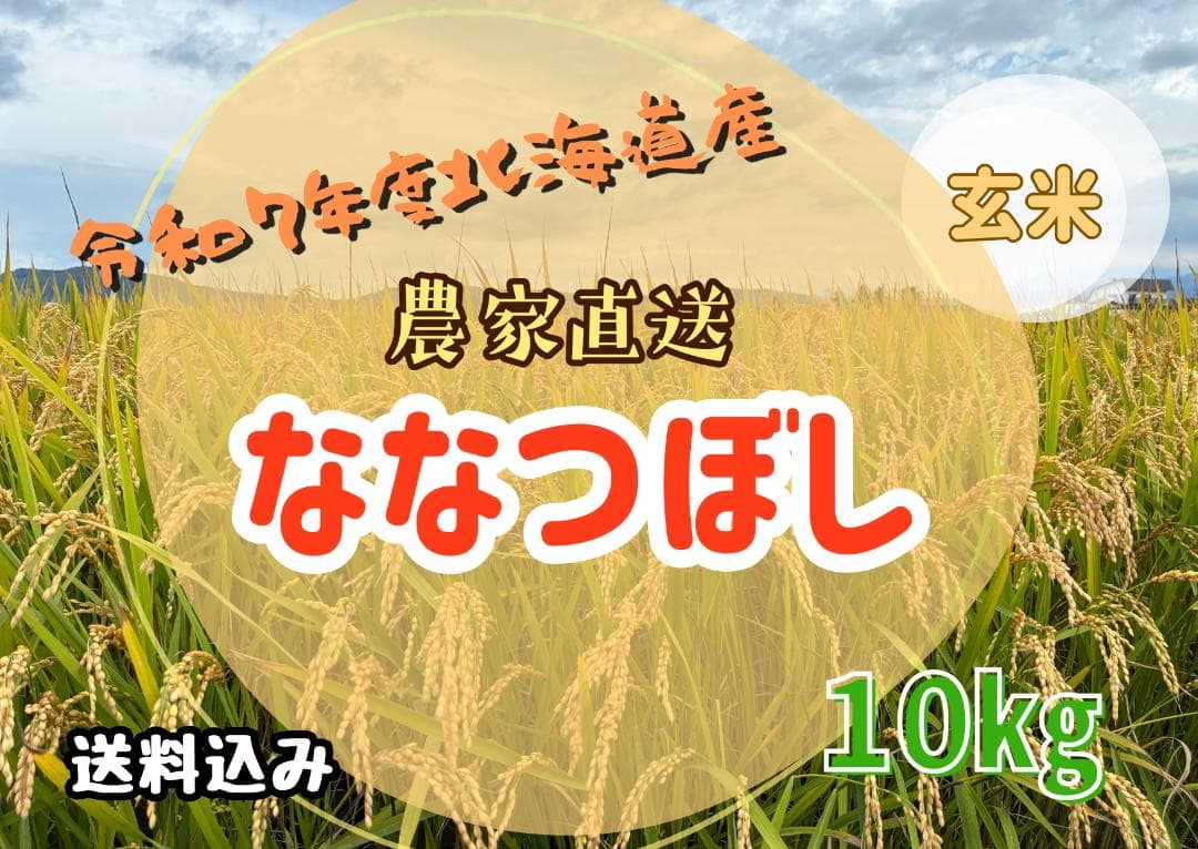 令和７年度北海道産 ななつぼし 10kg 農家直送