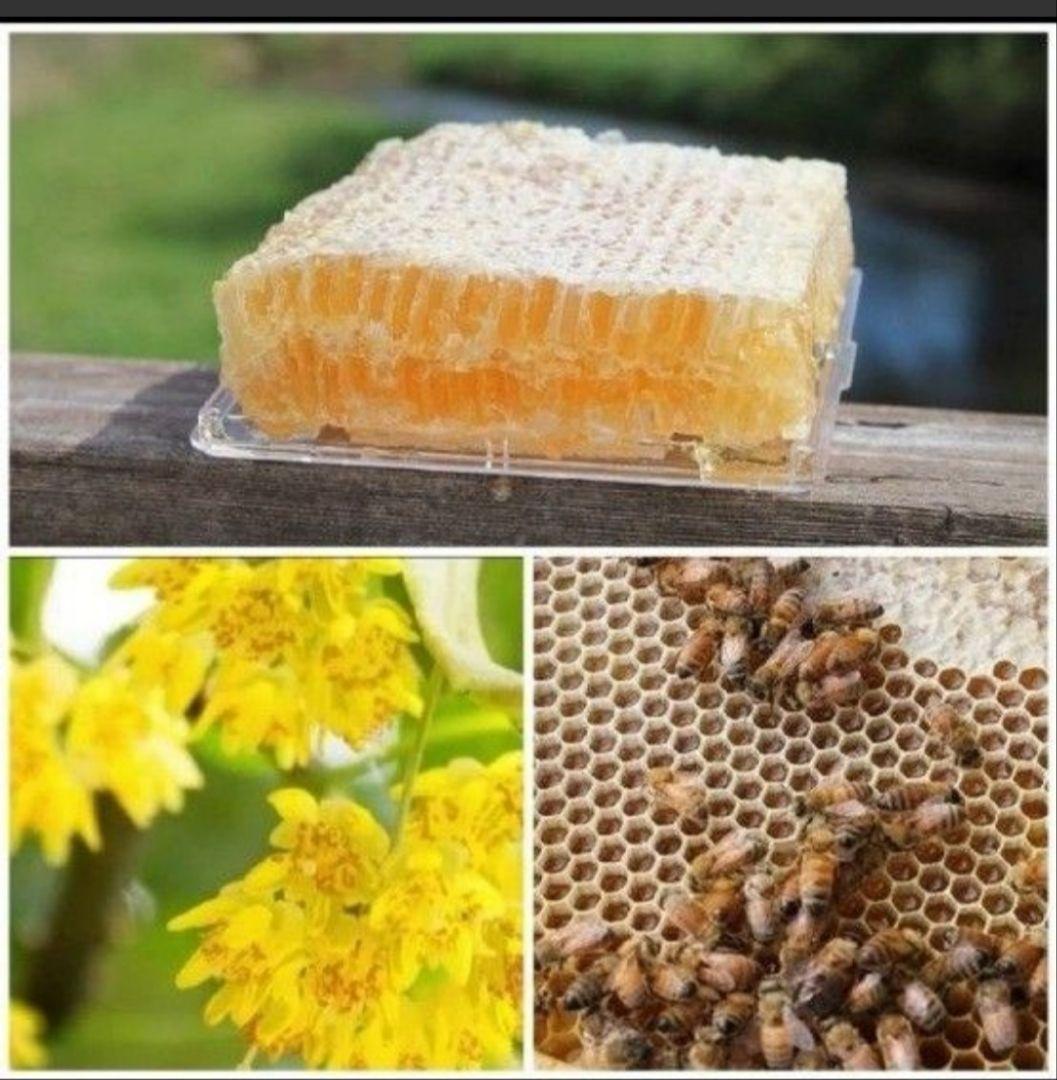 2.1kg. 350gx6個リンデンコムハニー巣蜜.生オーガニックリンデン巣蜜