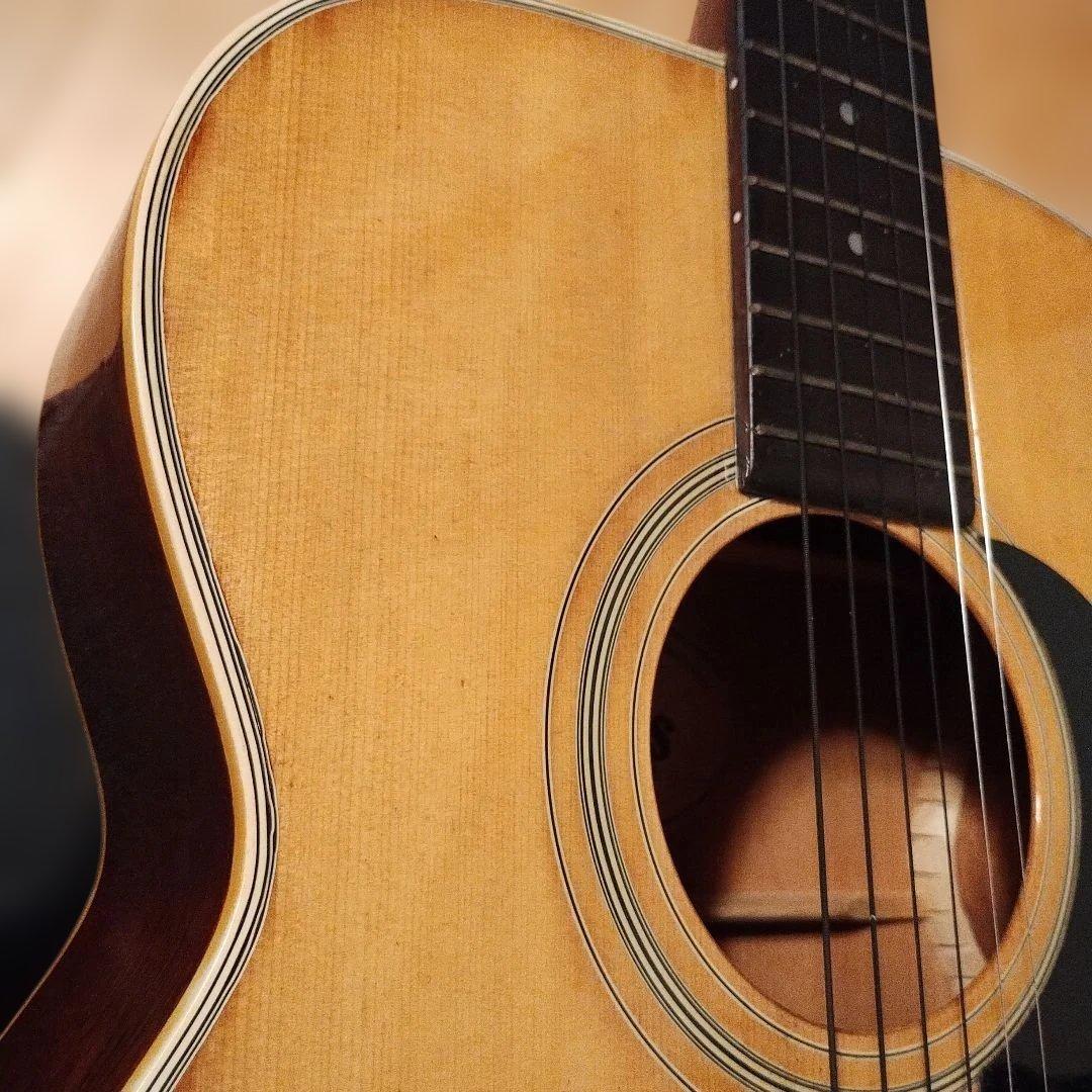 Morris アコースティックギター F-18