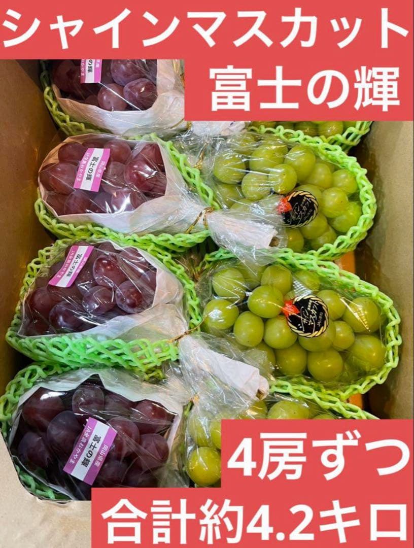 ③【島根県産】 シャインマスカット4房 【岡山県産】 富士の輝　4房