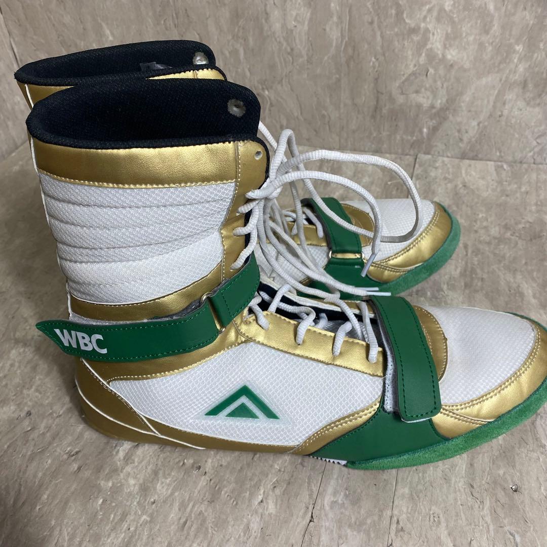 リミテッドカラー Adams アダムス Vプロ WBCモデル US13 31cm