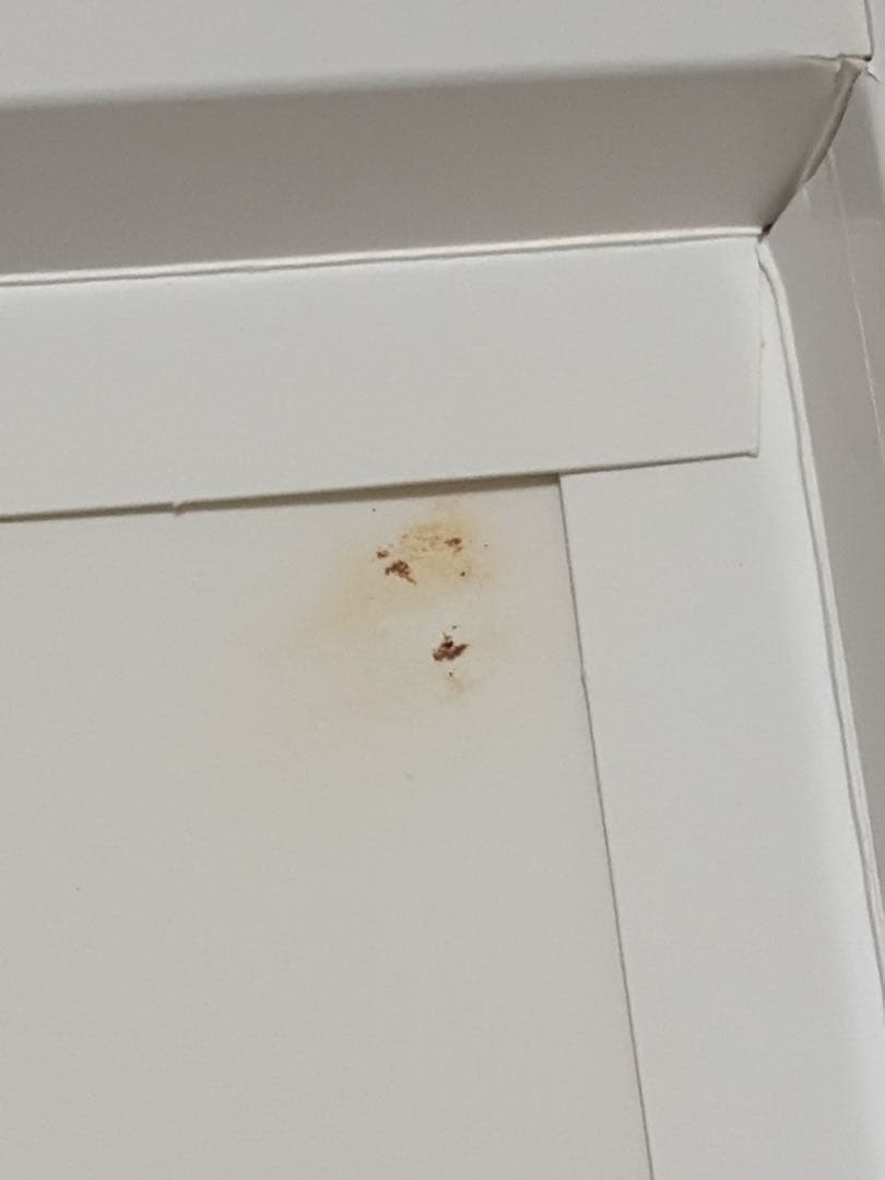 おやすみ、またね。ましろくん。 カトウロカ先生直筆サイン入り複製原画