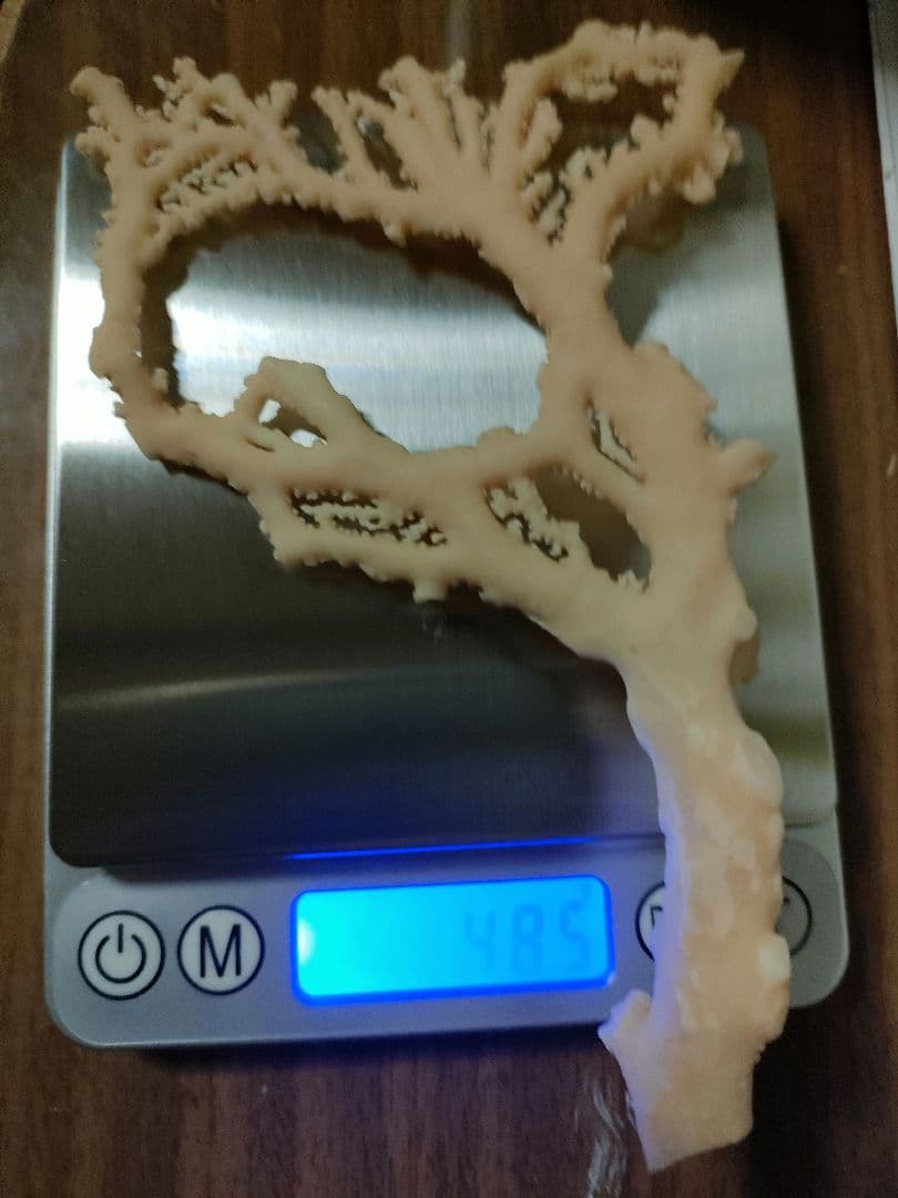 桃珊瑚　原木　48g