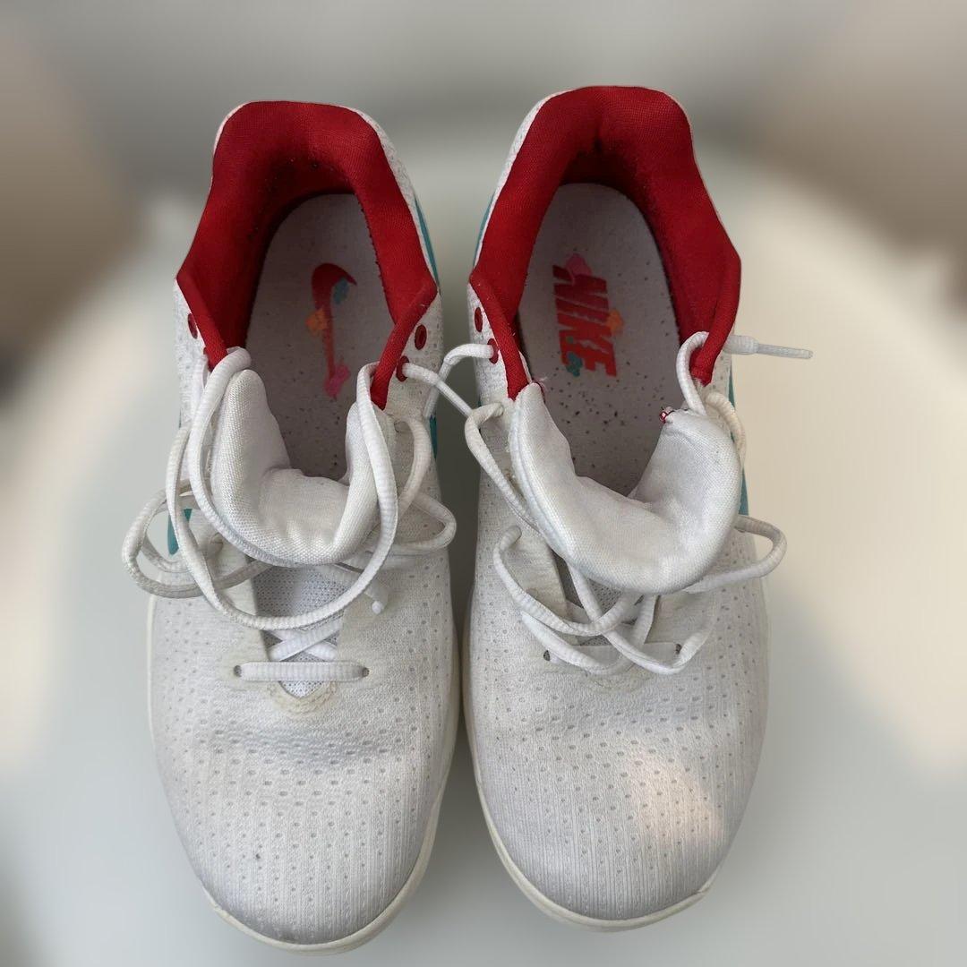 ね*ね様 Nike Hyperdunk 2017 Low Chinese New