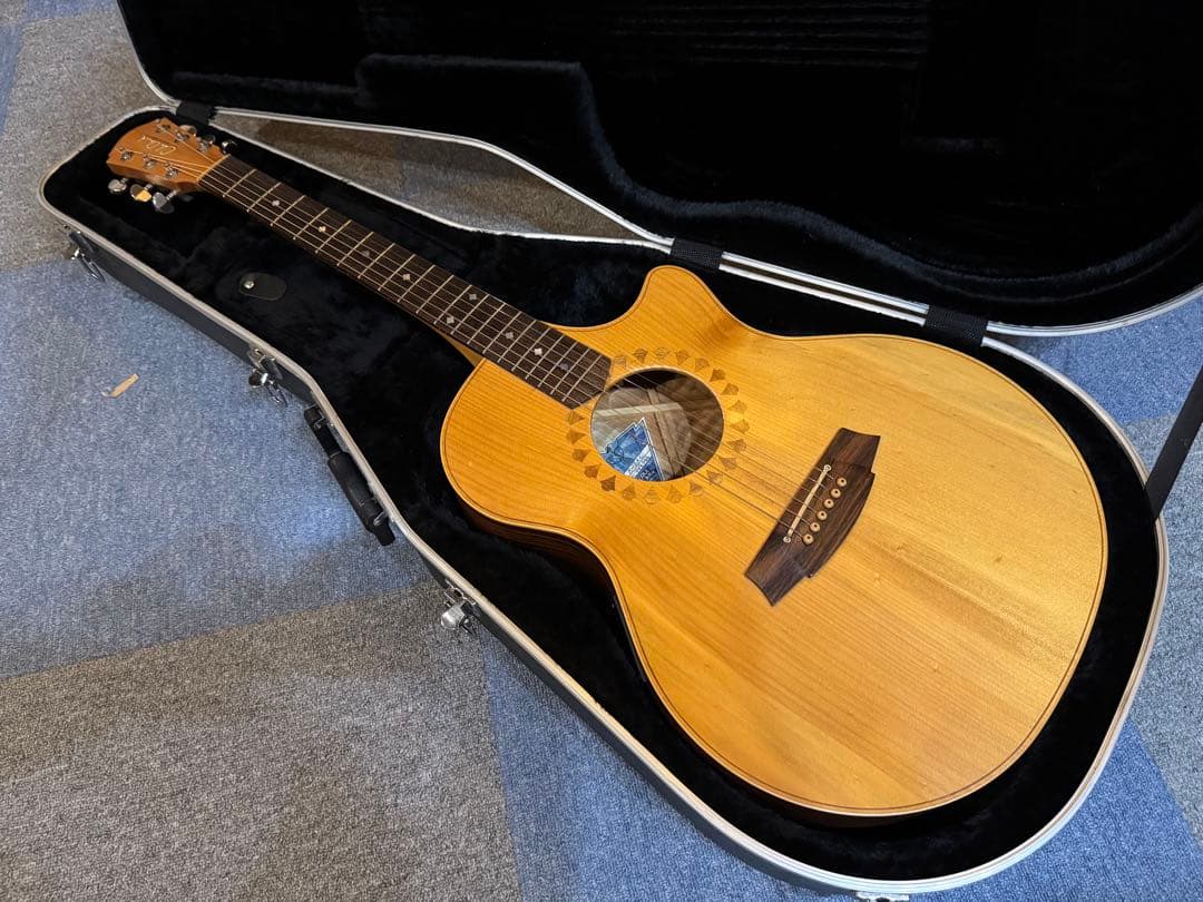 ★Cole Clark AN2AC★