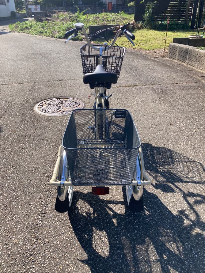 PELTECH ペルテック電動アシスト付き三輪車 TDR-163L