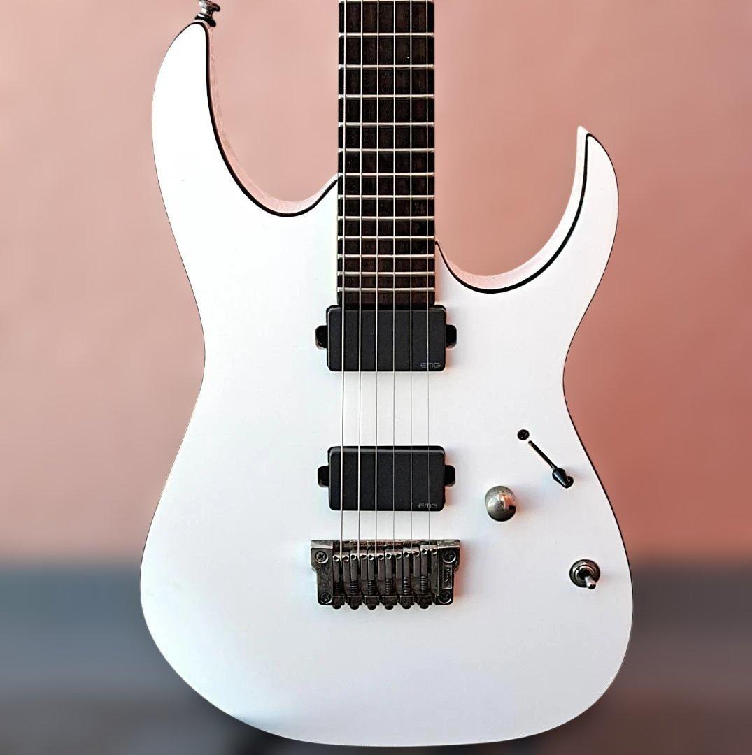 ■Ibanez RGIR20FE EMG 81 60 アイバニーズ