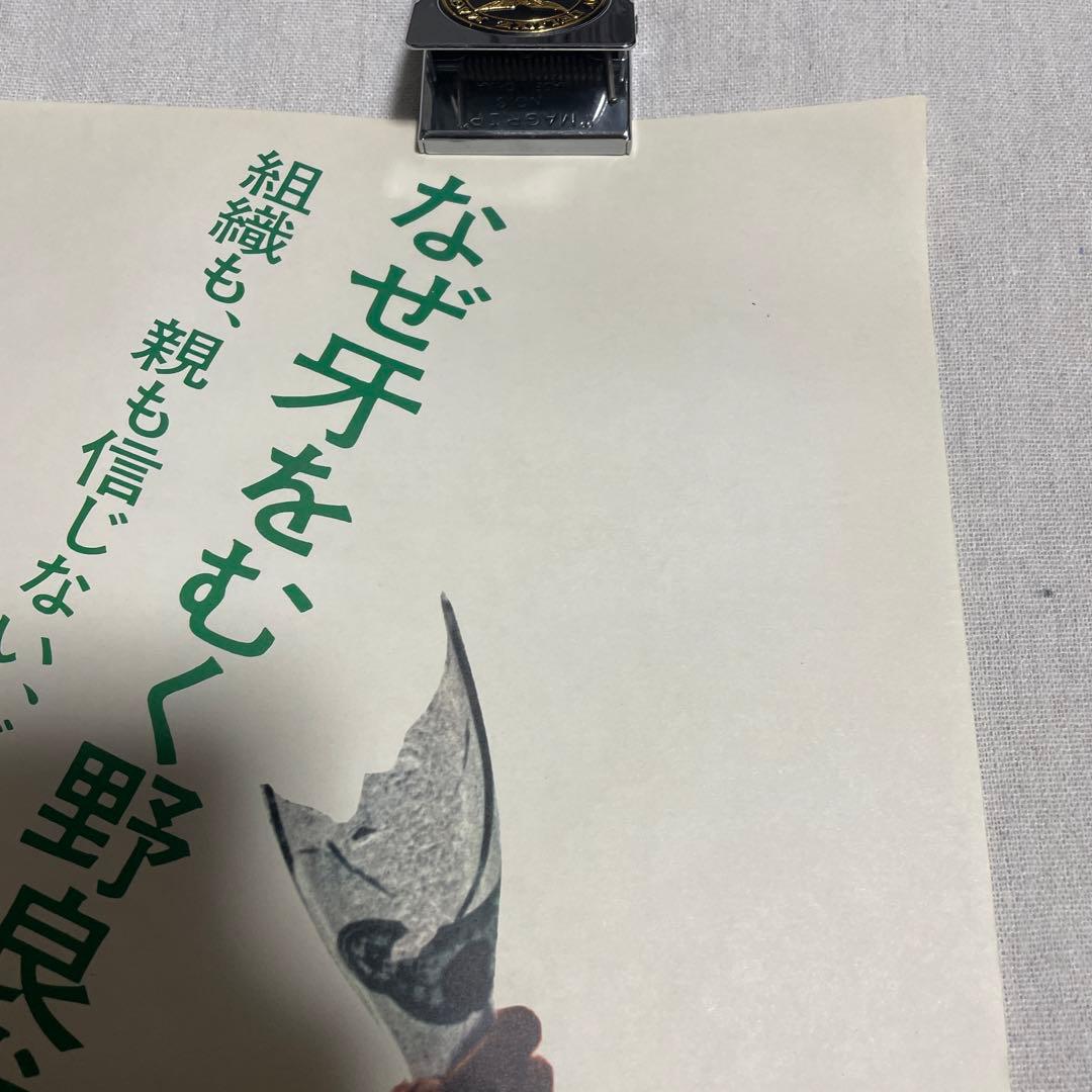 人斬り与太　狂犬三兄弟　映画ポスター　深作欣二　菅原文太　渚まゆみ　田中邦衛