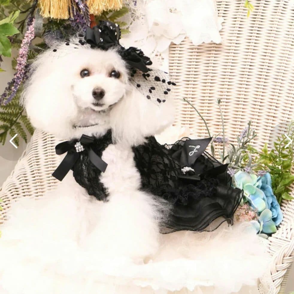 リュクスバーディー クリスタルチュチュ Sサイズ 新品未使用