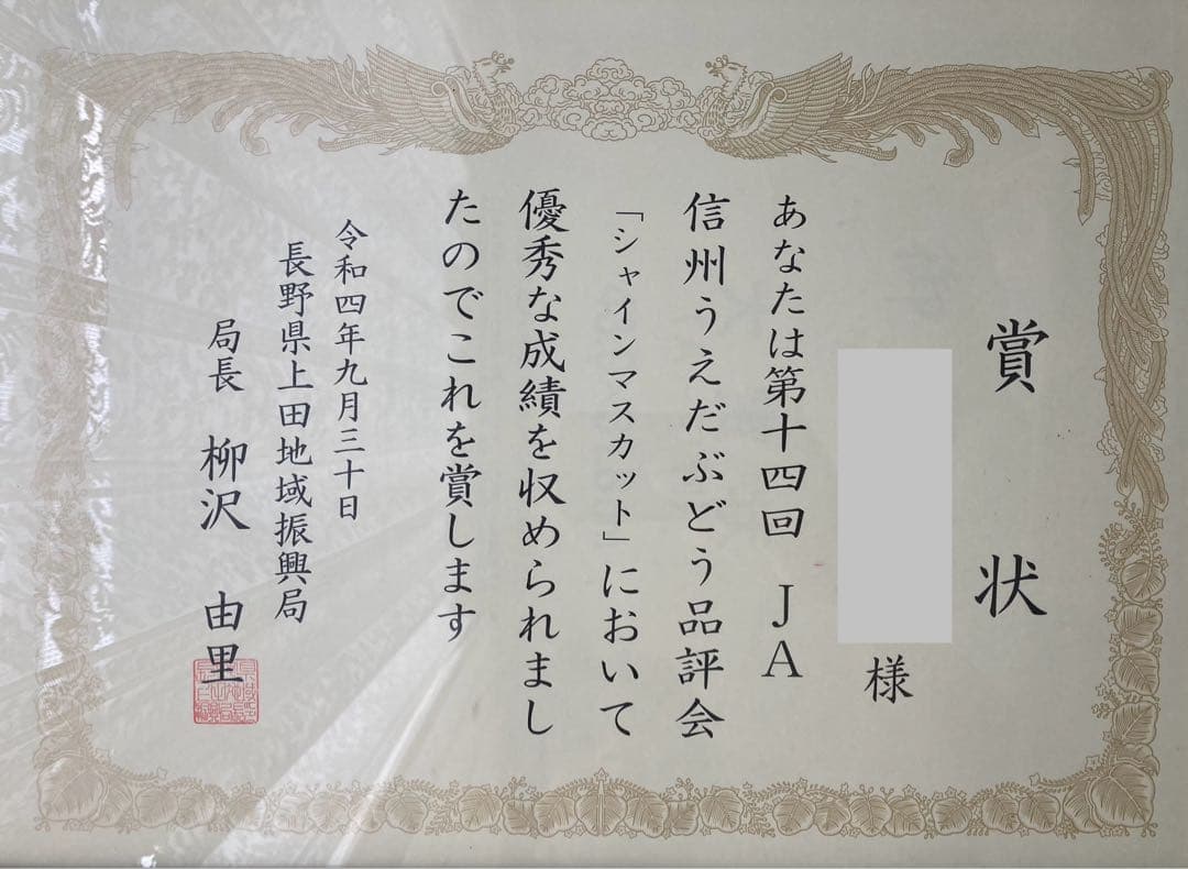 kiyomi19590928ナガノパープル3房シャインマスカット3房