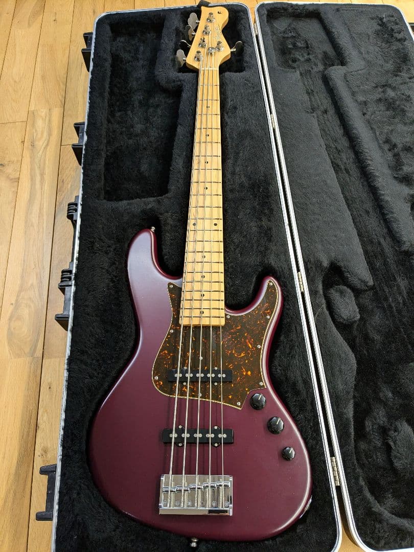 ベース FREEDOM CUSTOM GUITAR RESEARCH Anthra5st