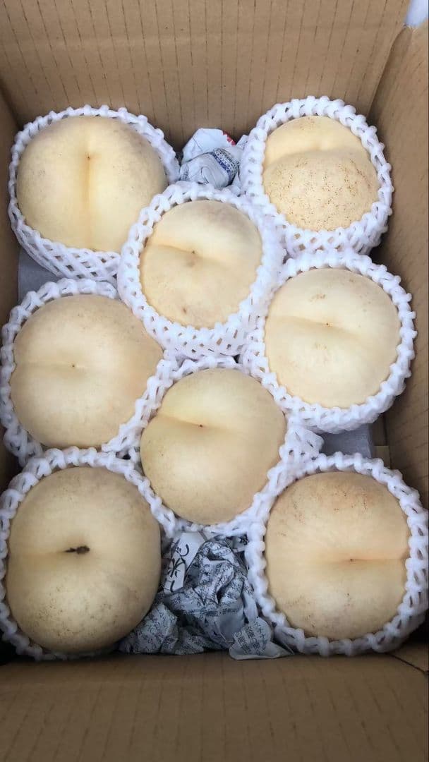 825福島產希少品種シーエクス硬桃箱込み10kg訳あり家庭用玉数お任せクール便