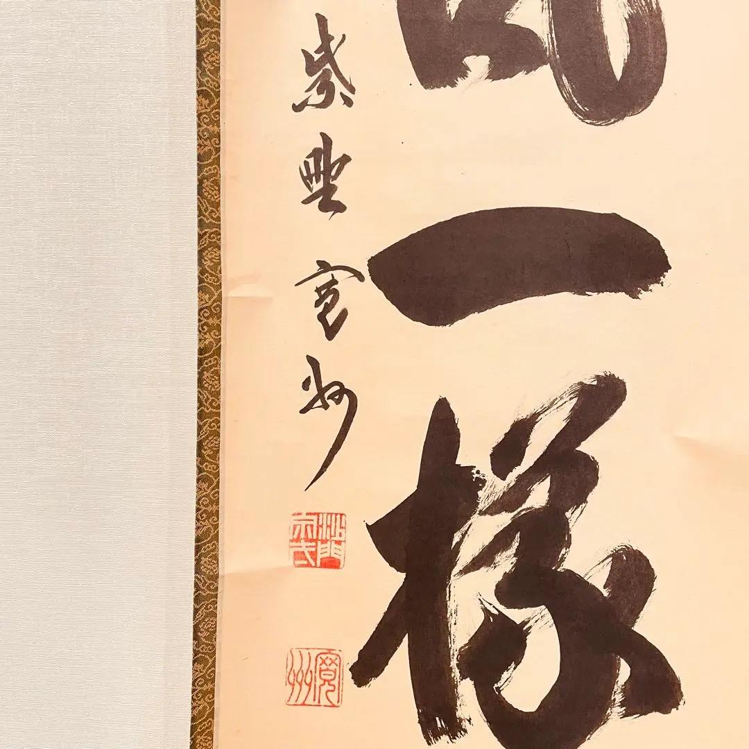 3056 長谷川寛州 「吟風一様松」 共箱 肉筆 紙本 書 掛軸 臨済宗 禅語