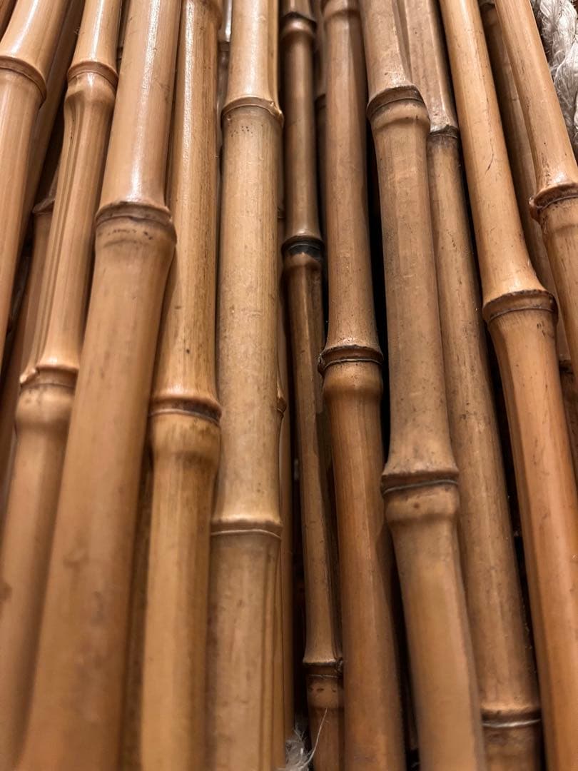 ヘチ釣り　黒鯛　和竿布袋竹　胴元選別中