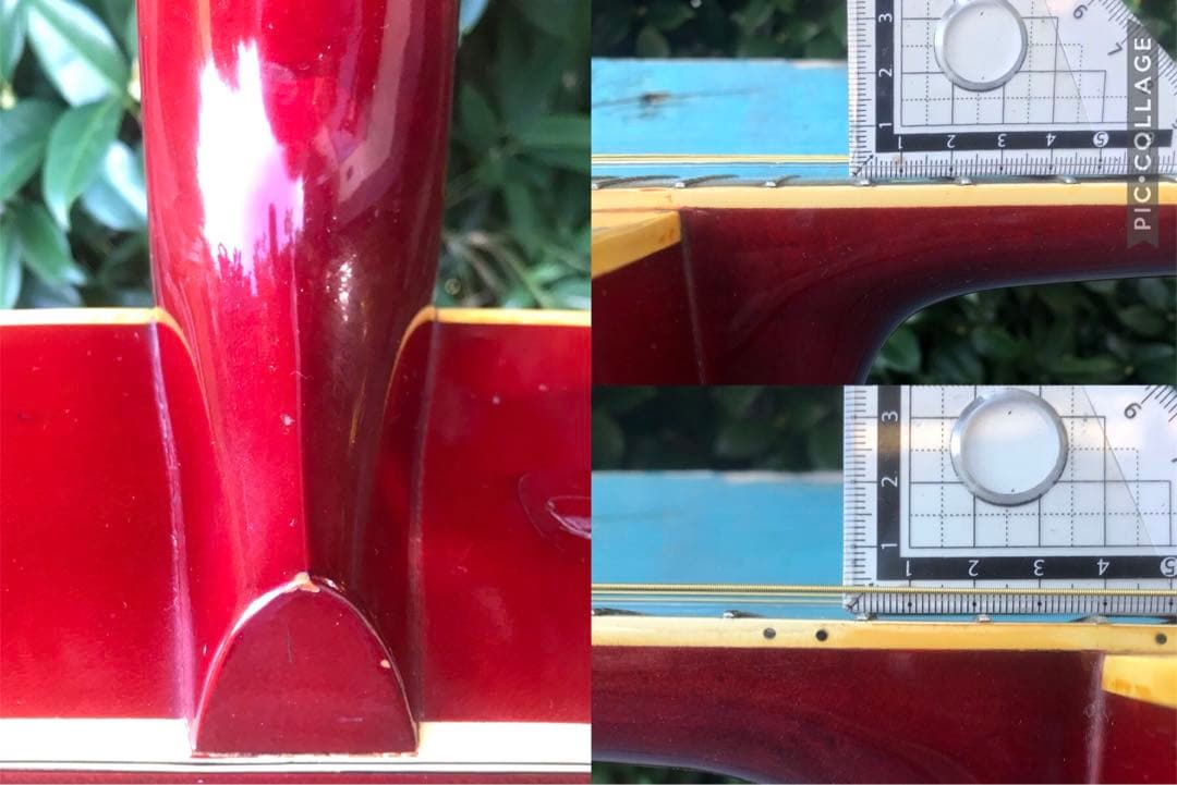 greco 303 DOVE グレコ フジゲン