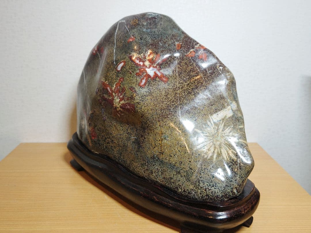 菊花石 24kg 菊紋石 花紋石 紋石 原石 鑑賞石 自然石 誕生石 鉱物 水石