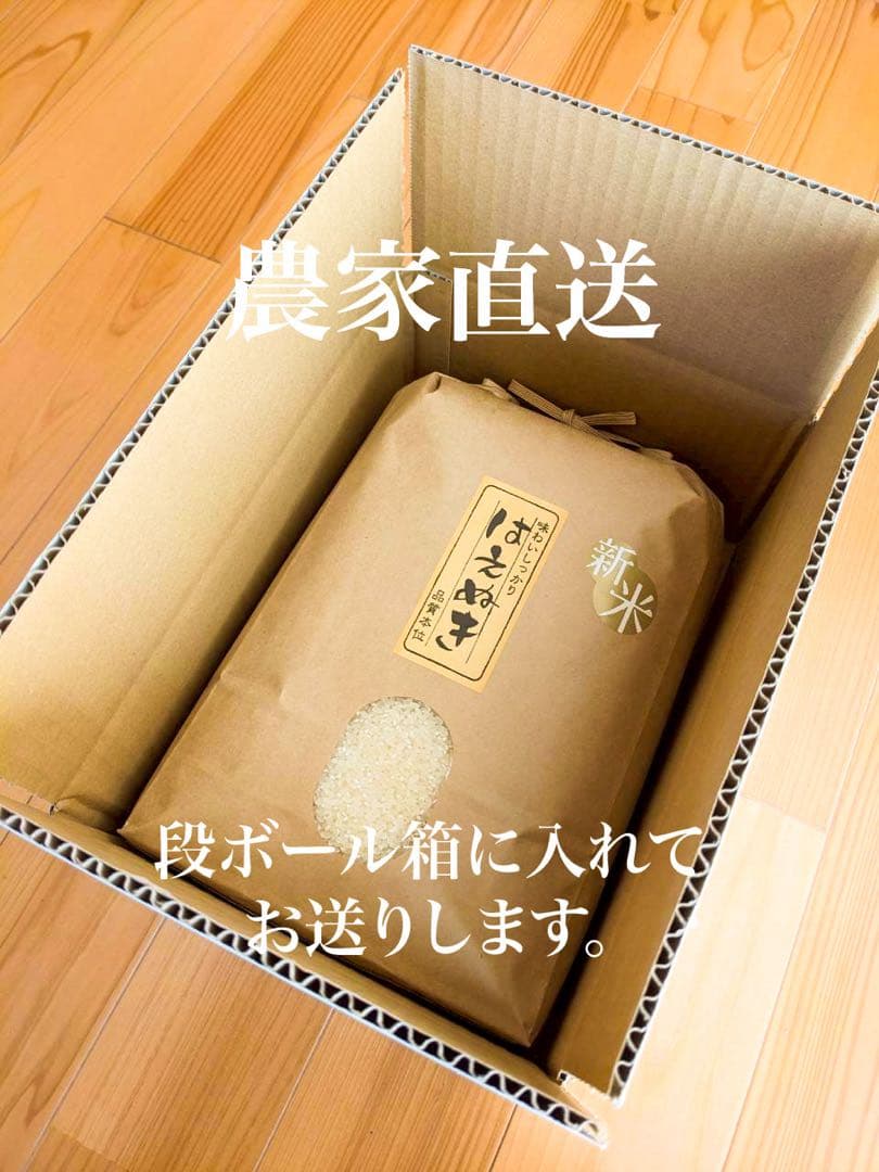 農家直送！令和７年産　雪若丸　山形県庄内産　白米２０ｋｇ