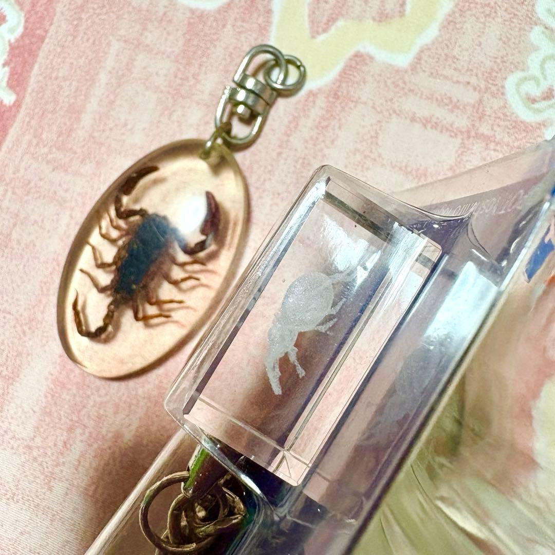 3点【HUNTER x HUNTER幻影旅団クリスタルキーホルダー】蠍・靴アクセ