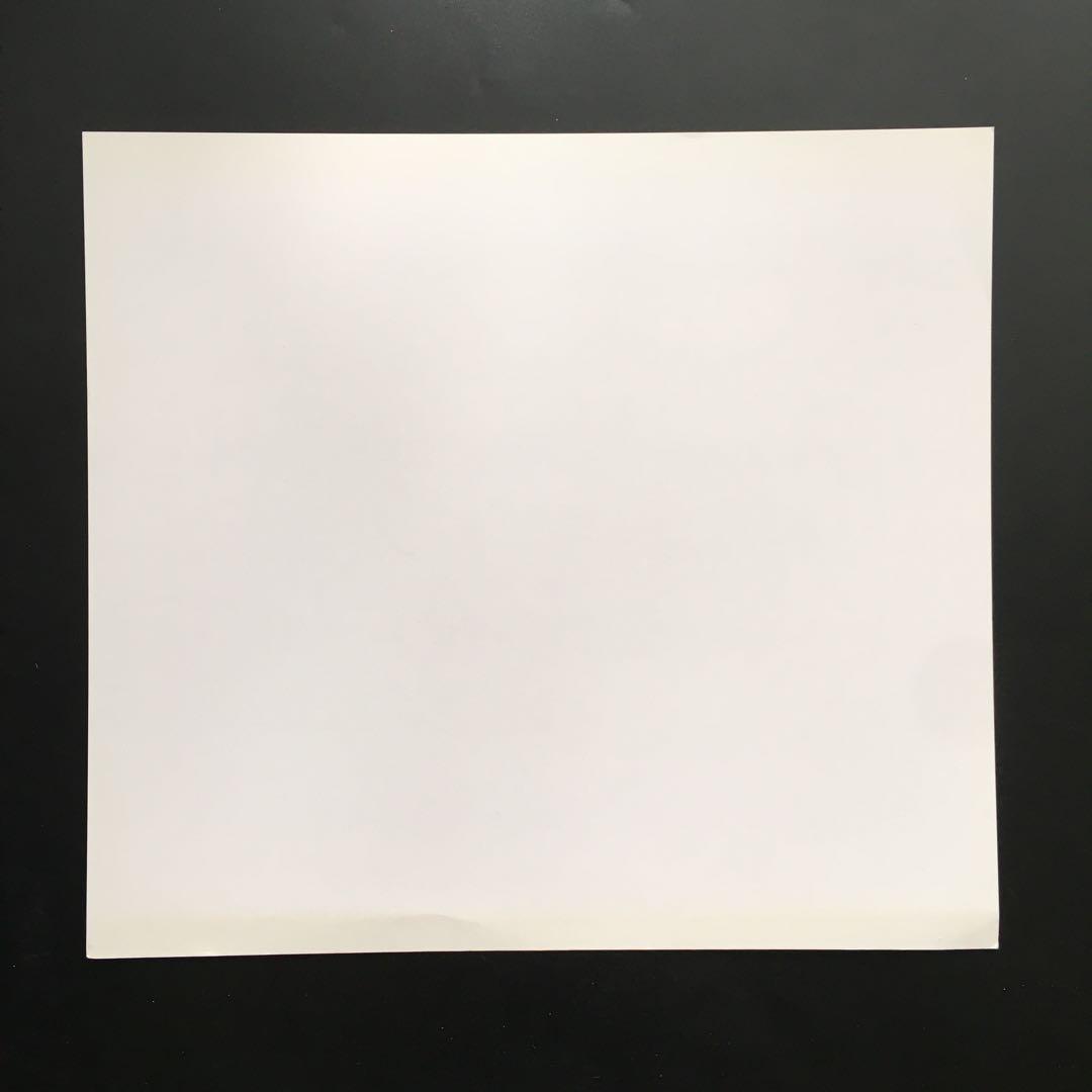 Berryz工房 菅谷梨沙子 サイン色紙