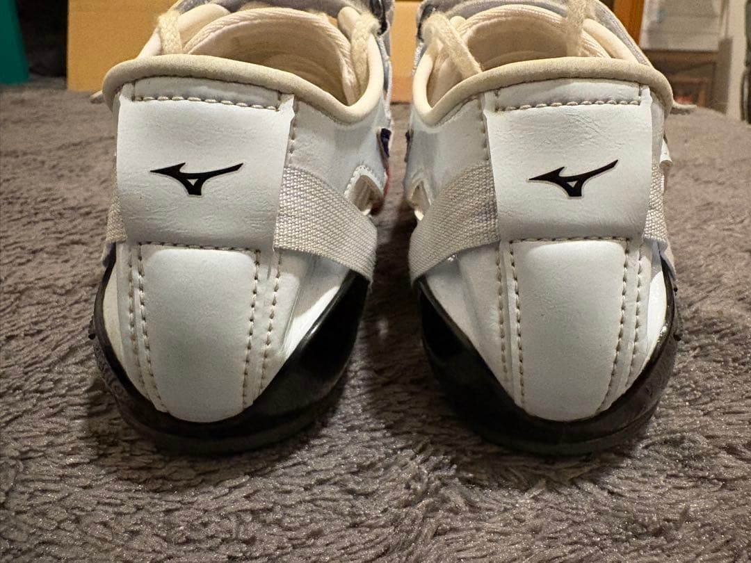 千田の継承者 ミズノ　クロノインクスネオジャパン　25cm 陸上　短距離