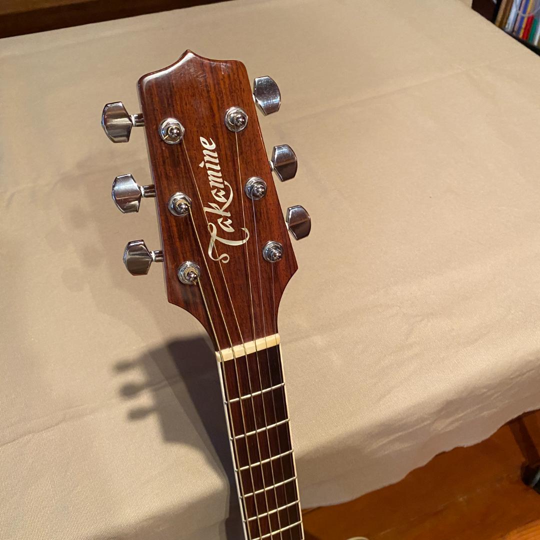 【超美品】タカミネ　エレアコギター ハードケース付き